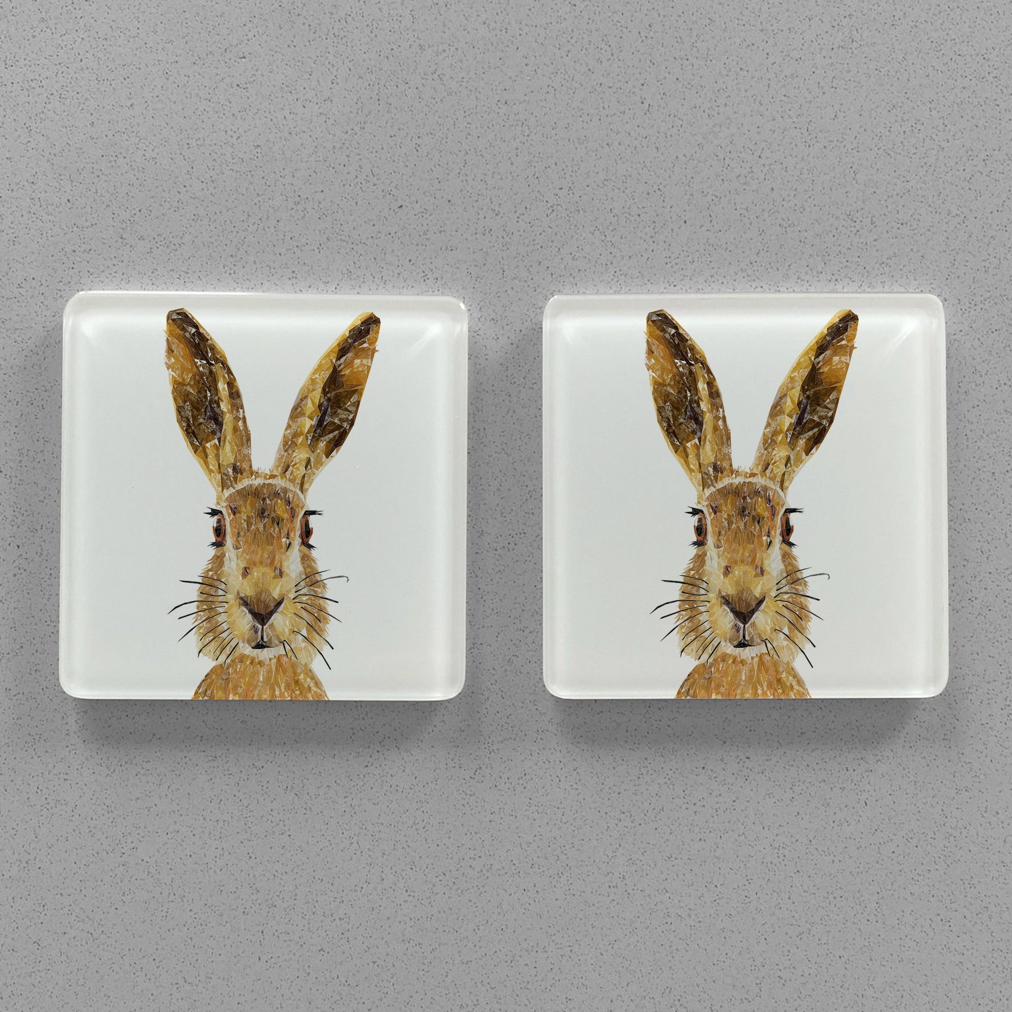 "The Hare" Premium Glass Coasters