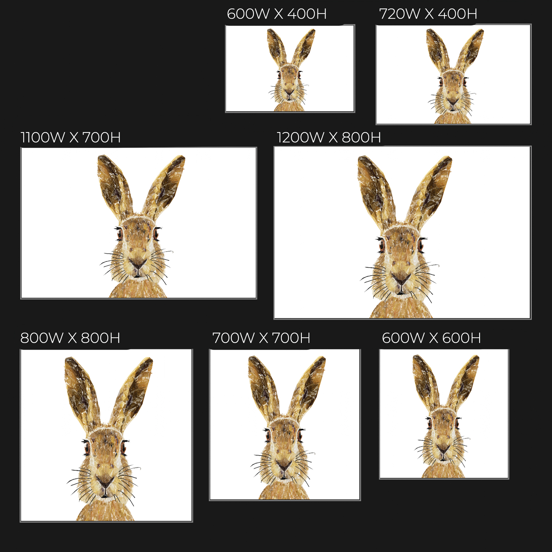 "The Hare" Glass Wall Art