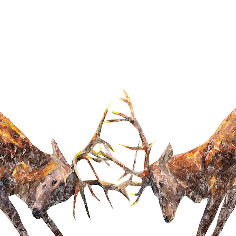 "The Showdown" Rutting Stags Premium Glass Coasters