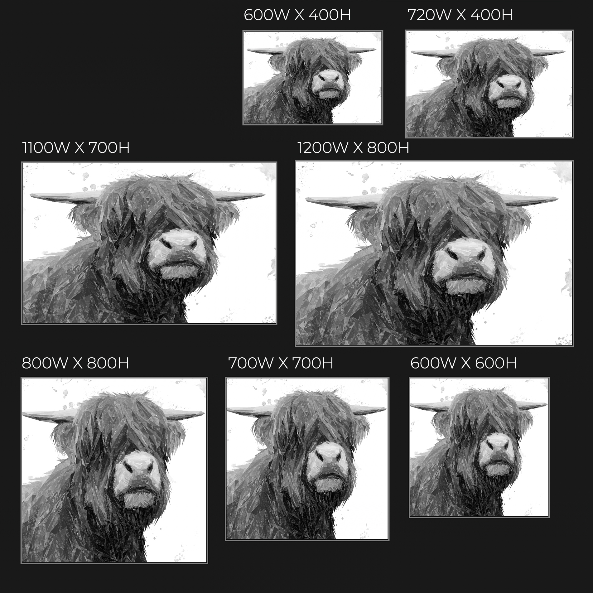 "Henry" The Highland Bull (B&W) Glass Wall Art