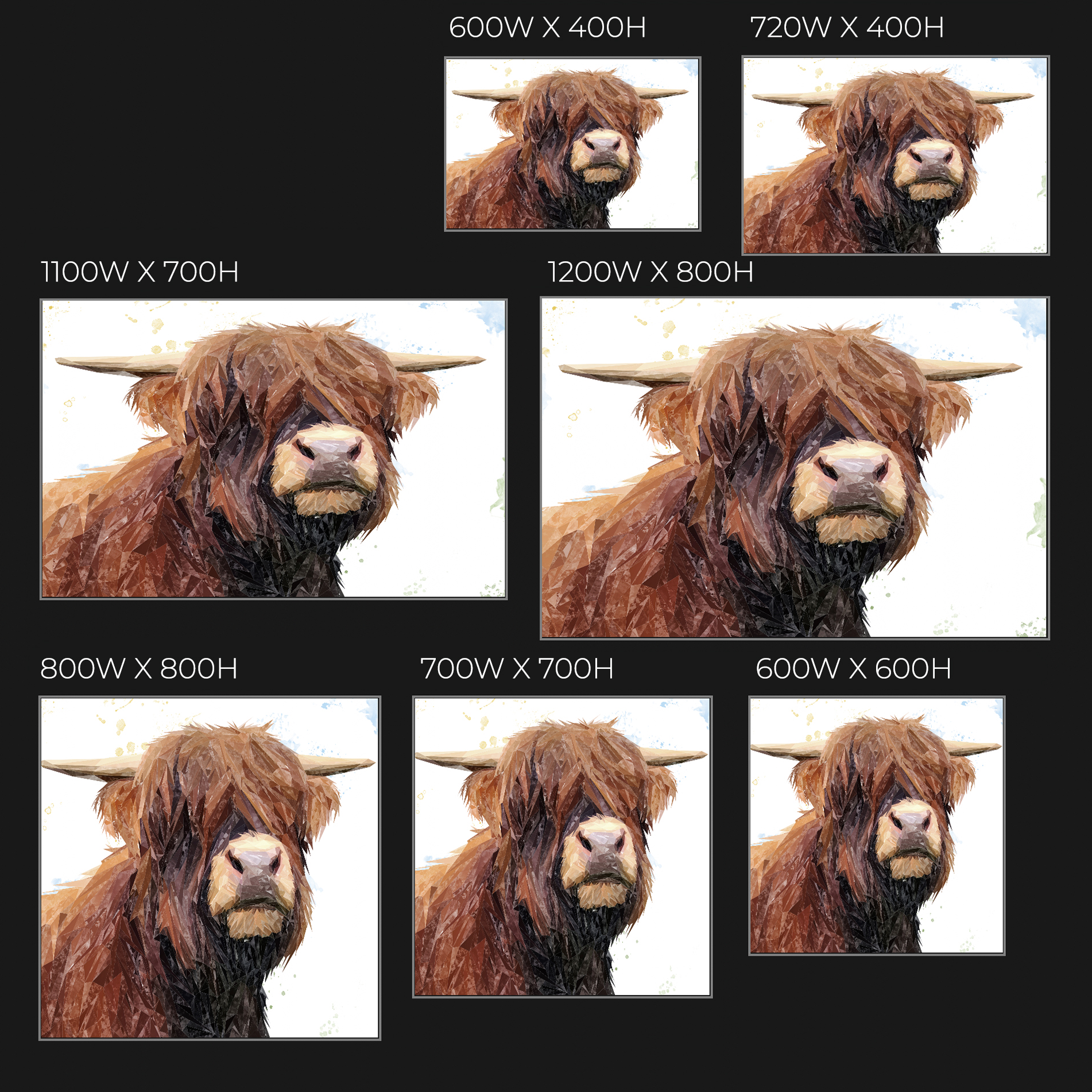 "Henry" The Highland Bull Glass Wall Art