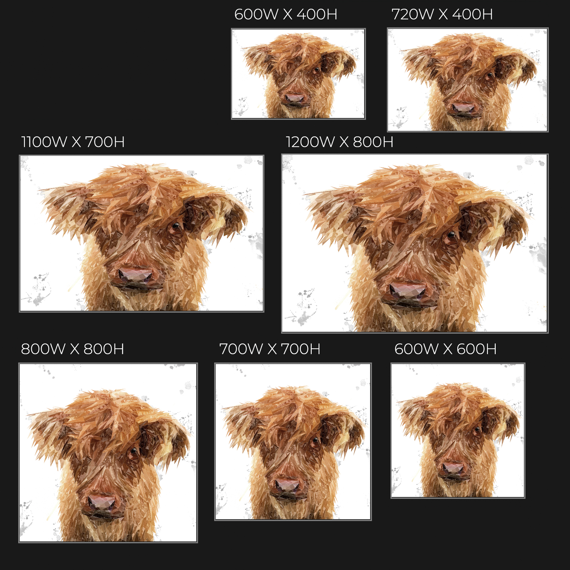 "Peeps" The Highland Calf Glass Wall Art