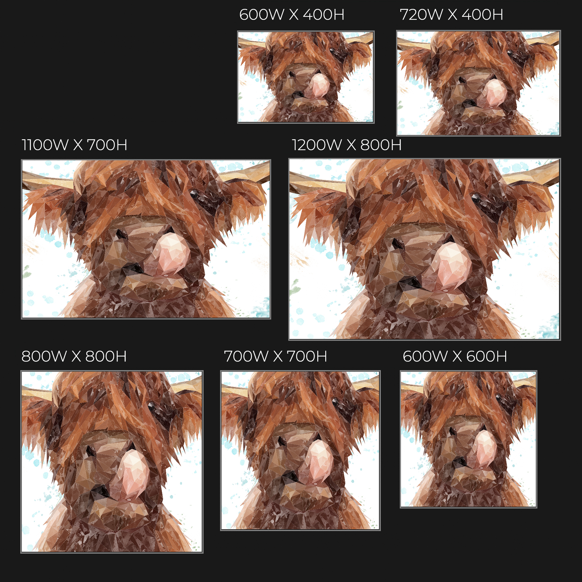 "Harry" The Highland Cow Glass Wall Art