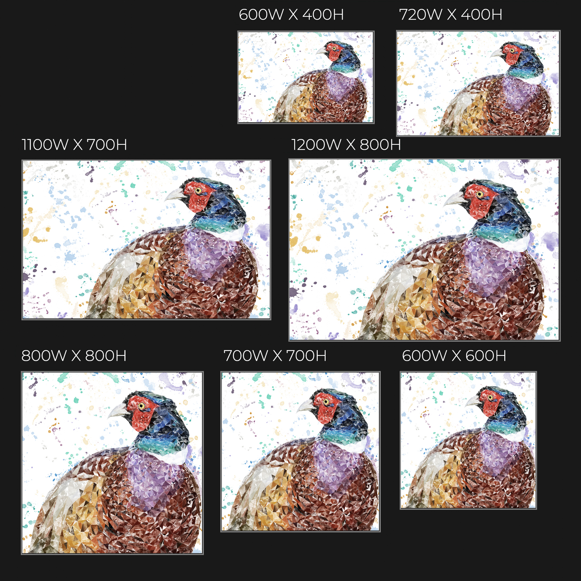 "Marty" The Pheasant Glass Wall Art