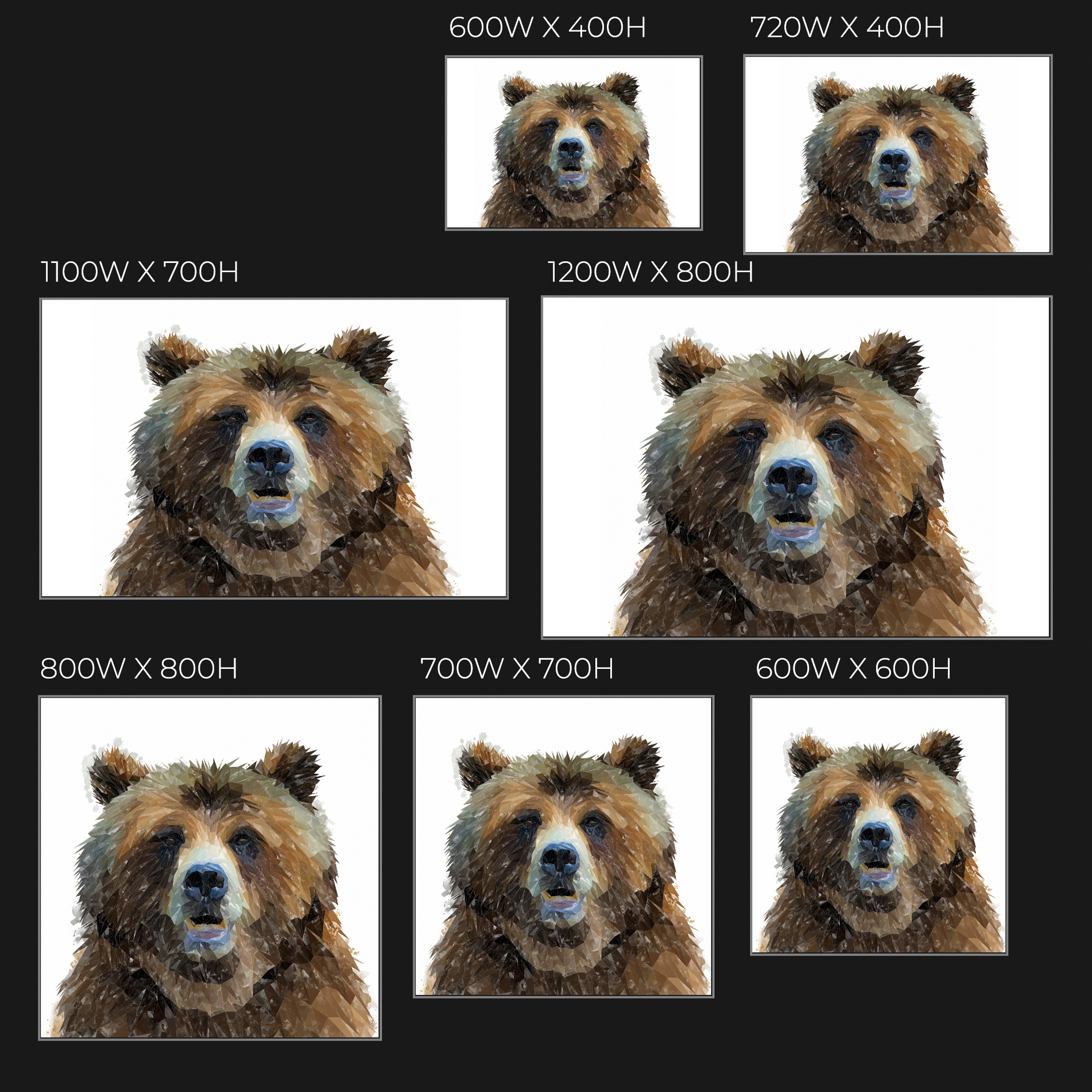 "Monty" The Brown Bear Glass Wall Art