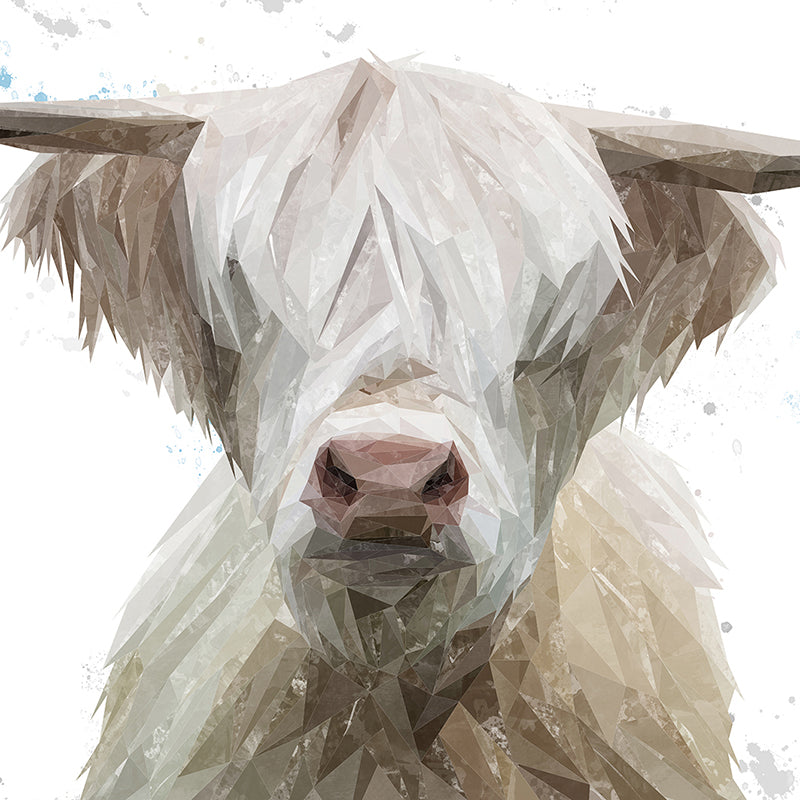 "Evan" The Highland Bull Premium Glass Coasters