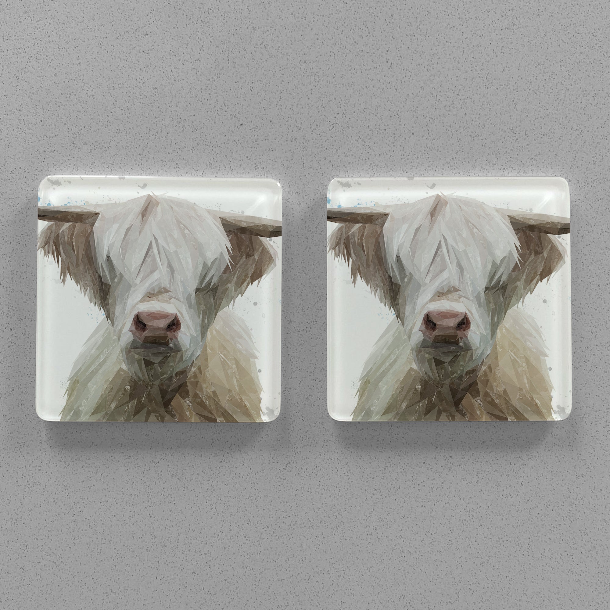 "Evan" The Highland Bull Premium Glass Coasters