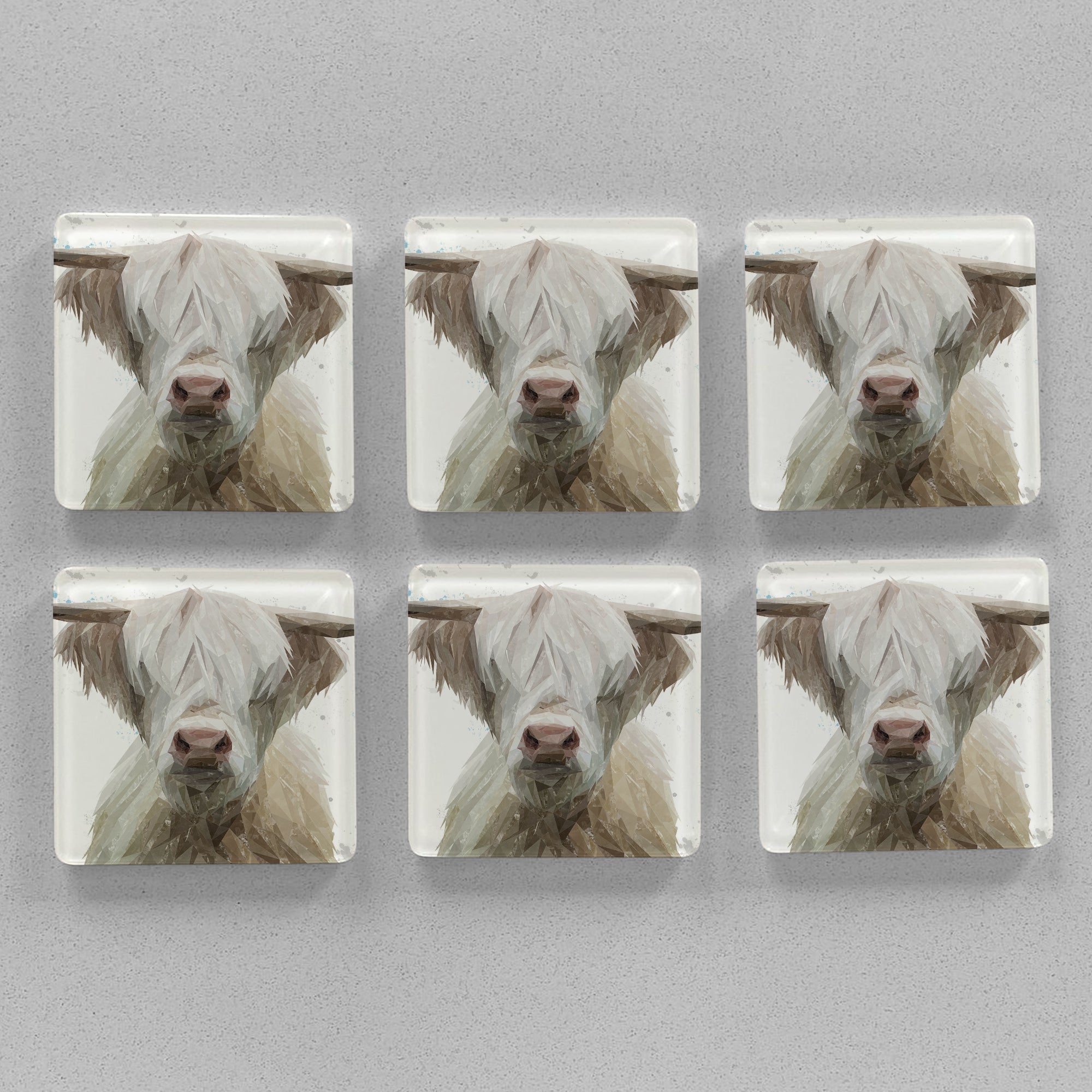 "Evan" The Highland Bull Premium Glass Coasters