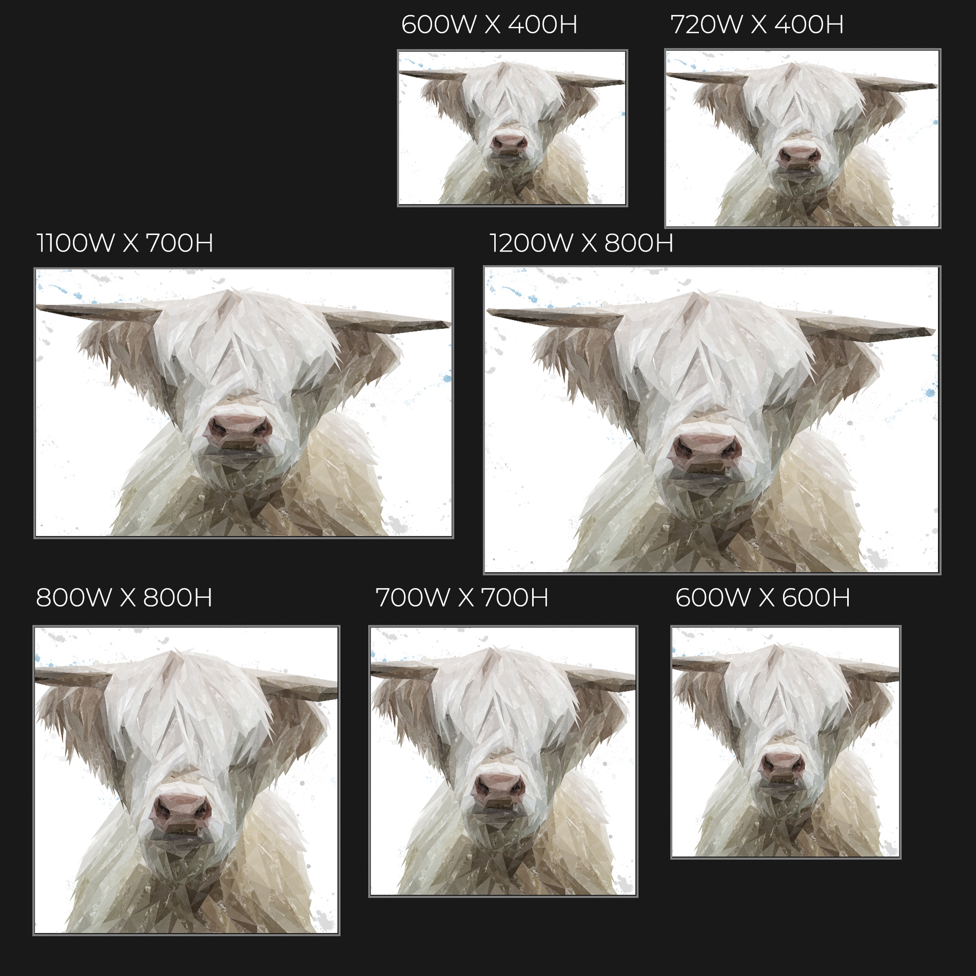 "Evan" The Highland Bull Glass Wall Art
