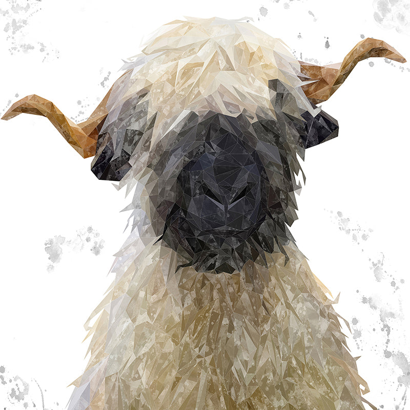 "Betty" The Valais Blacknose Sheep (Grey Background) Premium Glass Coasters