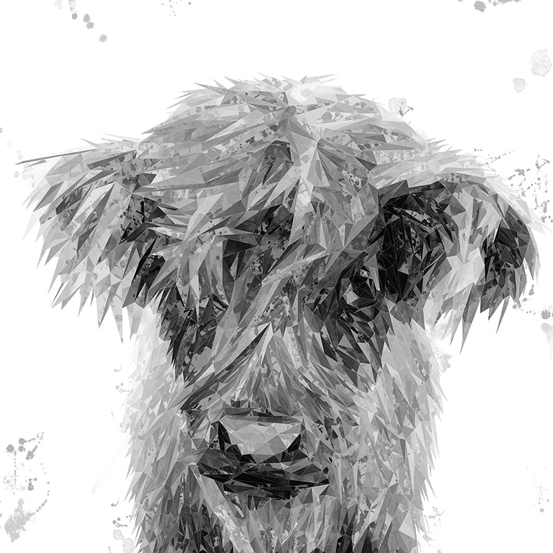 "Peeps" The Highland Calf (B&W) Premium Glass Coasters