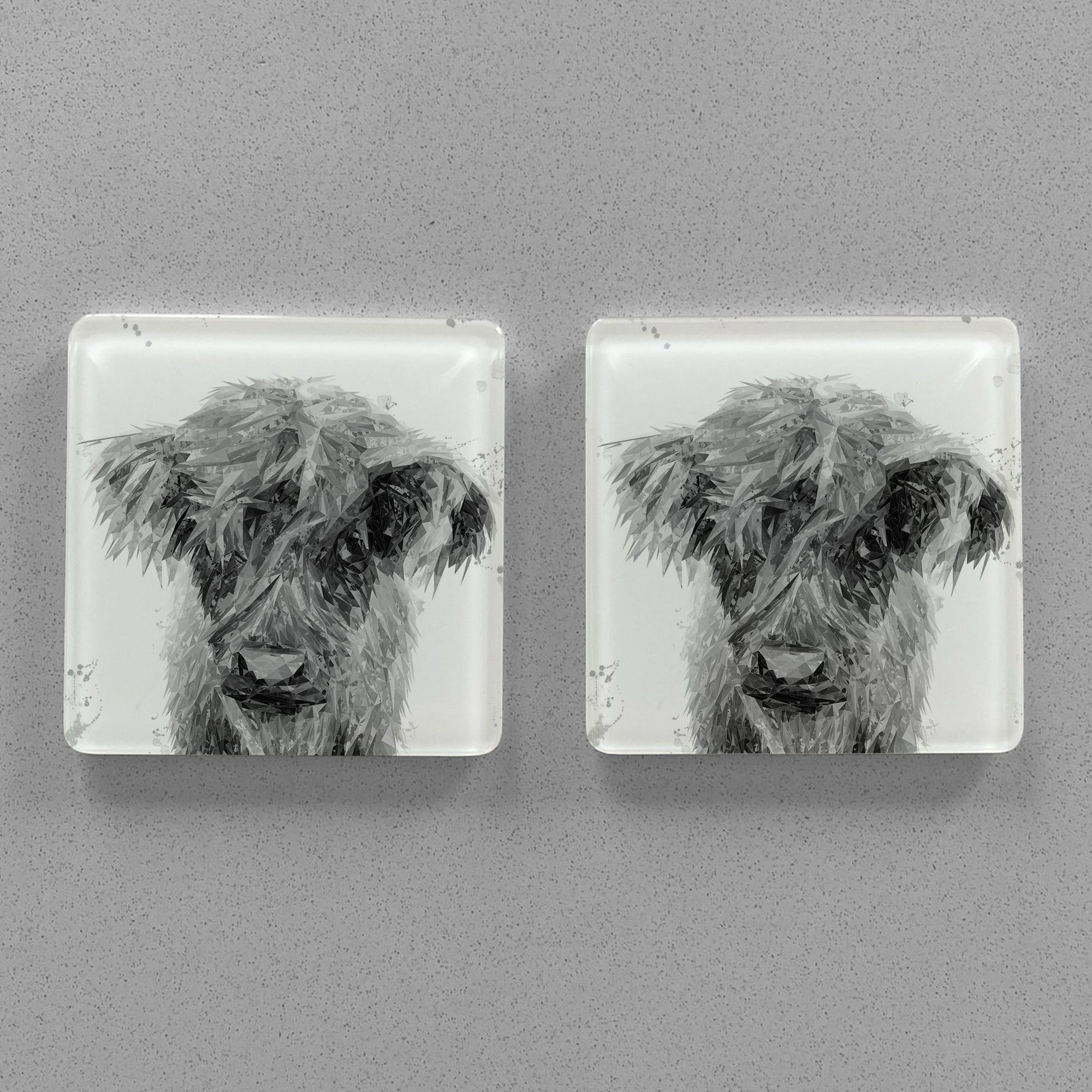 "Peeps" The Highland Calf (B&W) Premium Glass Coasters