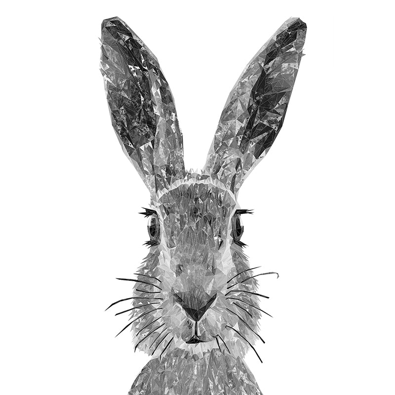 "The Hare" (B&W) Premium Glass Coasters