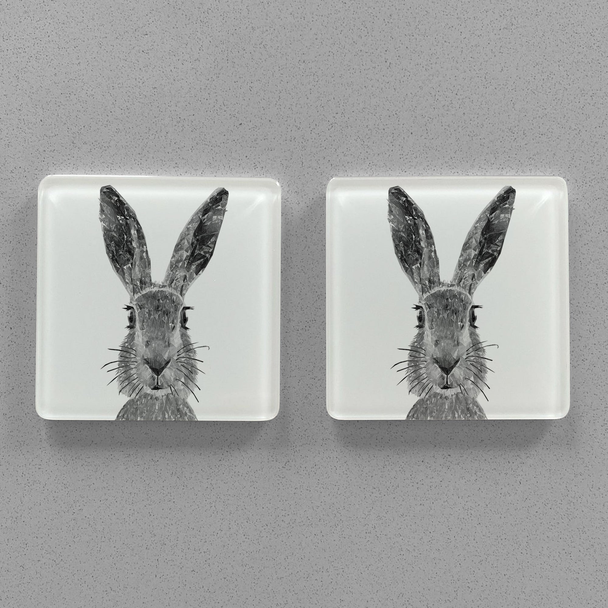 "The Hare" (B&W) Premium Glass Coasters