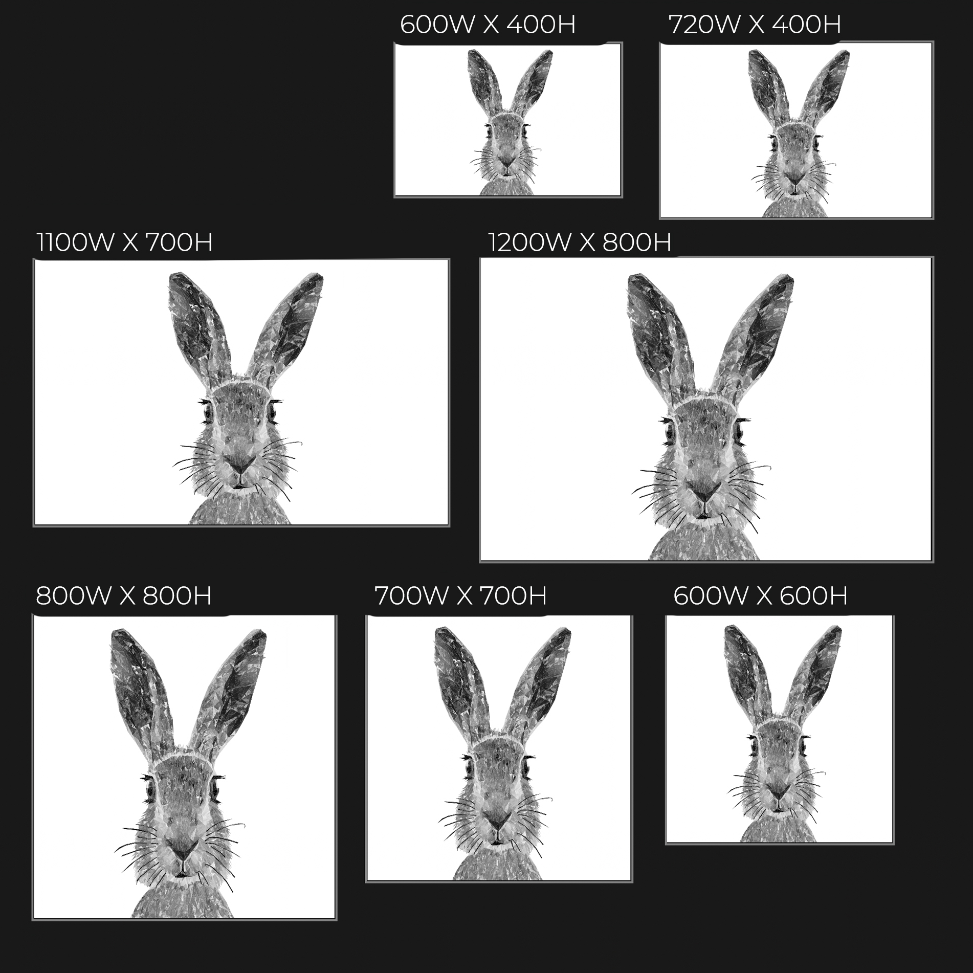 "The Hare" (B&W) Glass Wall Art