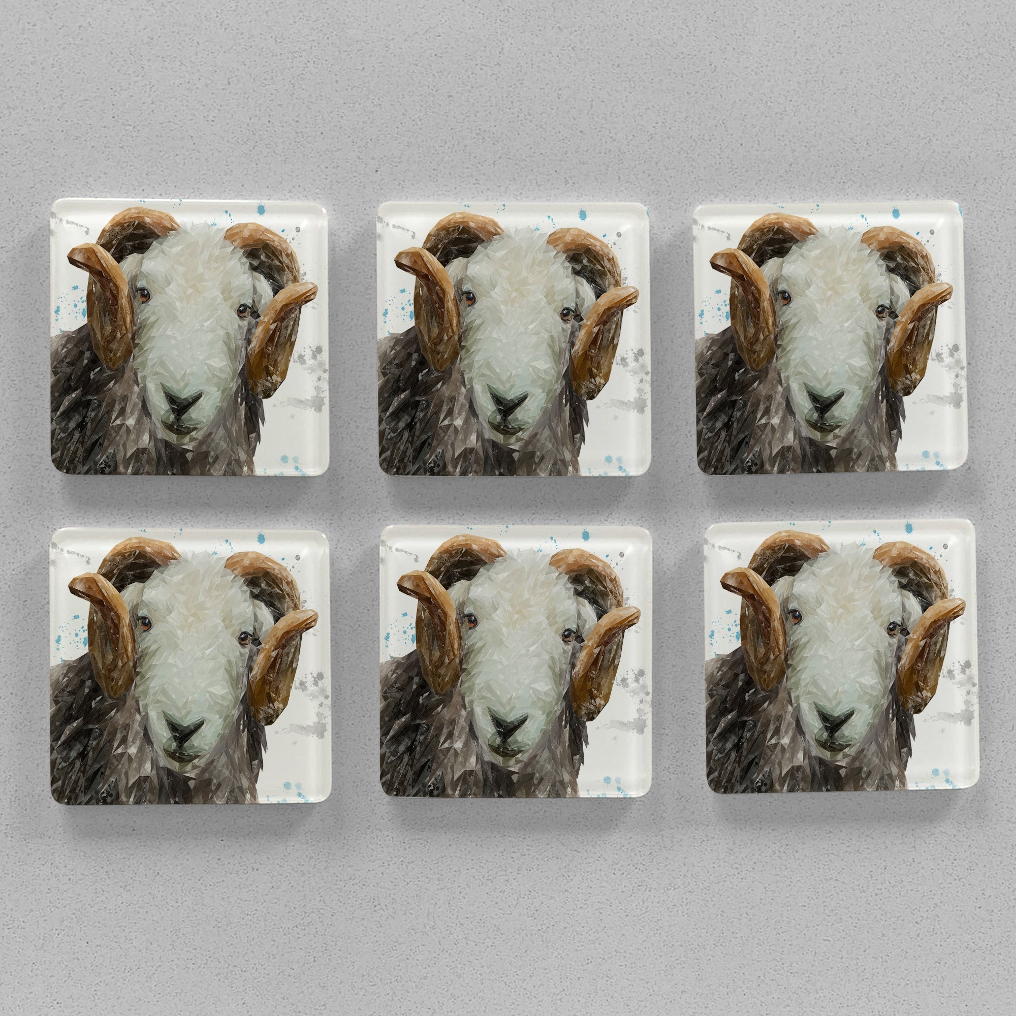 "Stanley" The Herdwick Ram Premium Glass Coasters