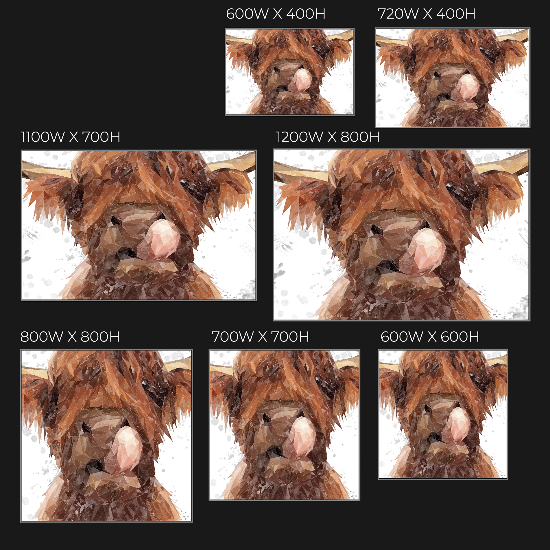 "Harry" The Highland Bull (Grey Background) Glass Wall Art