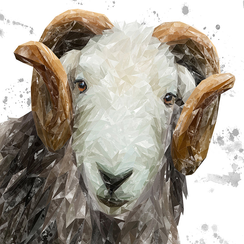 "Stanley" The Herdwick Ram (Grey Background) Premium Glass Coasters