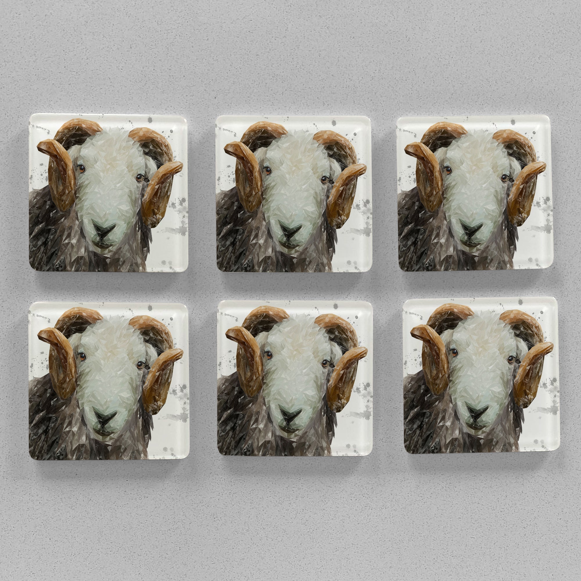 "Stanley" The Herdwick Ram (Grey Background) Premium Glass Coasters