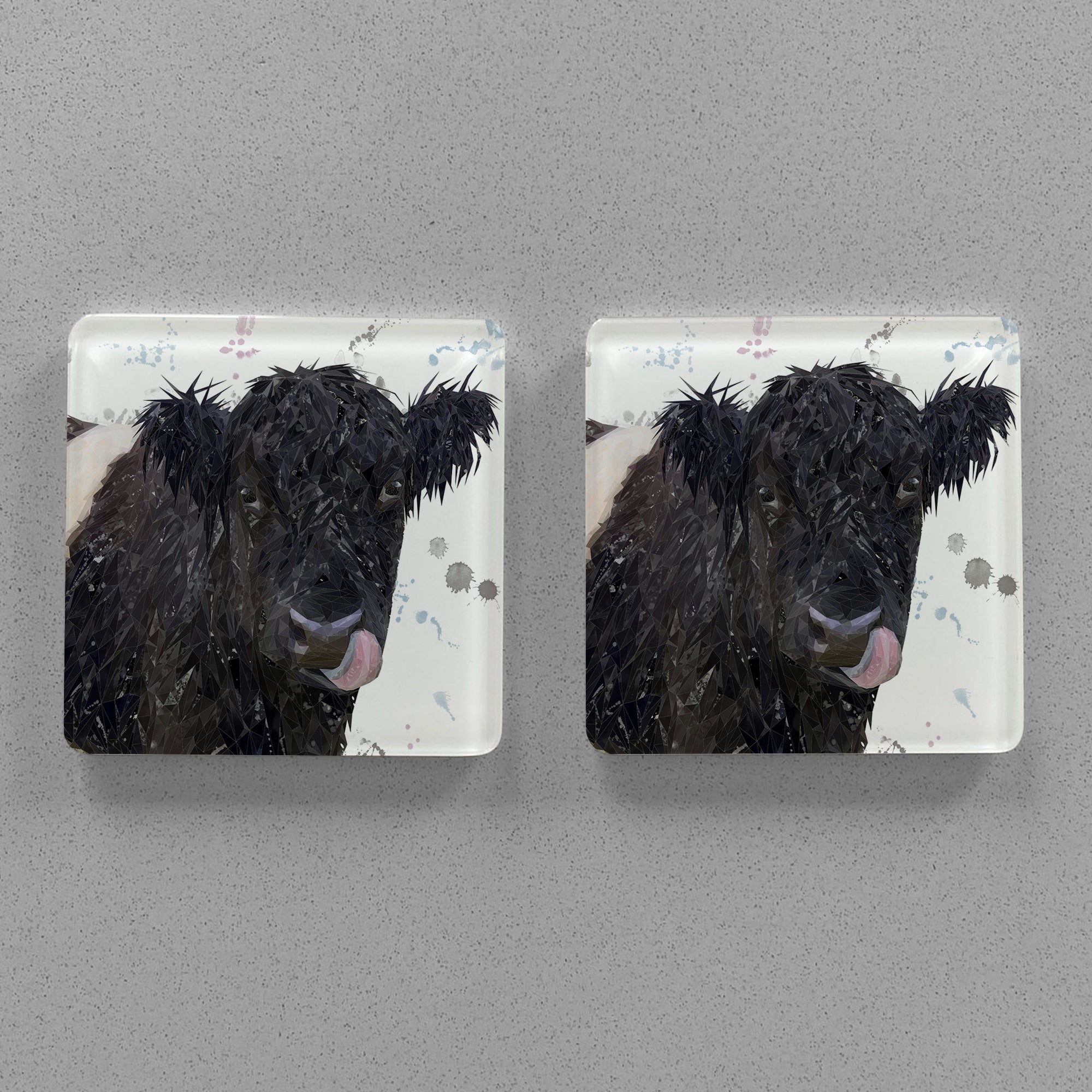"Eugene" The Belted Galloway Cow Premium Glass Coasters