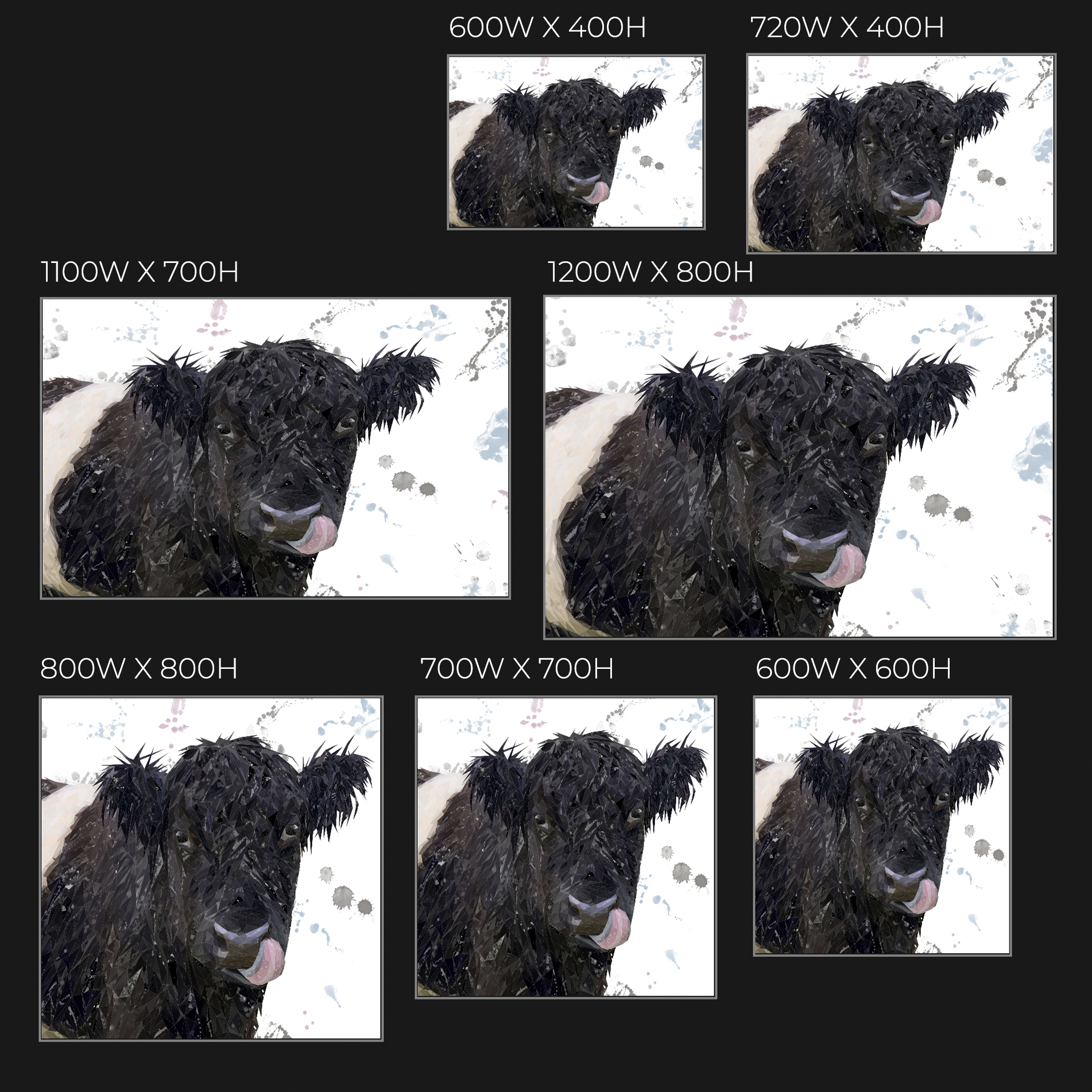 "Eugene" The Belted Galloway Cow Glass Wall Art