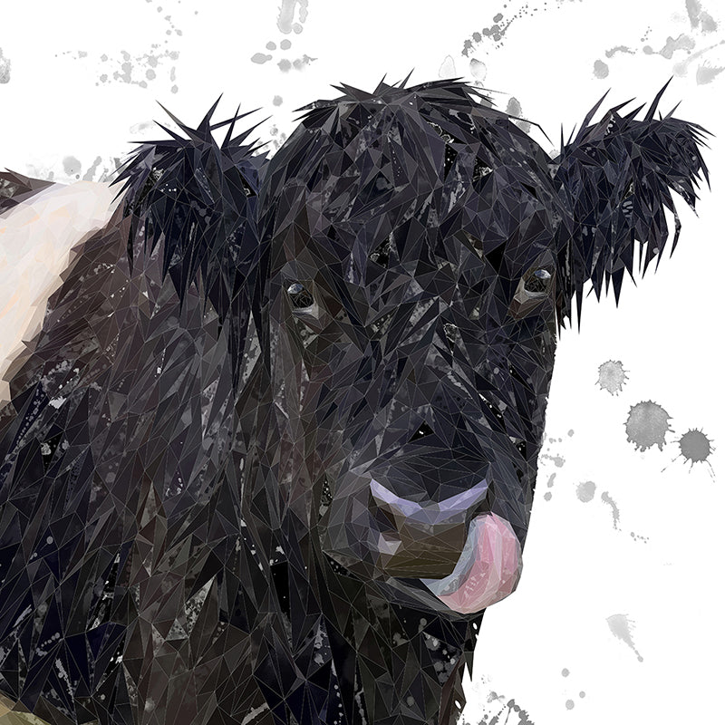 "Eugene" The Belted Galloway Cow (Grey Background) Premium Glass Coasters