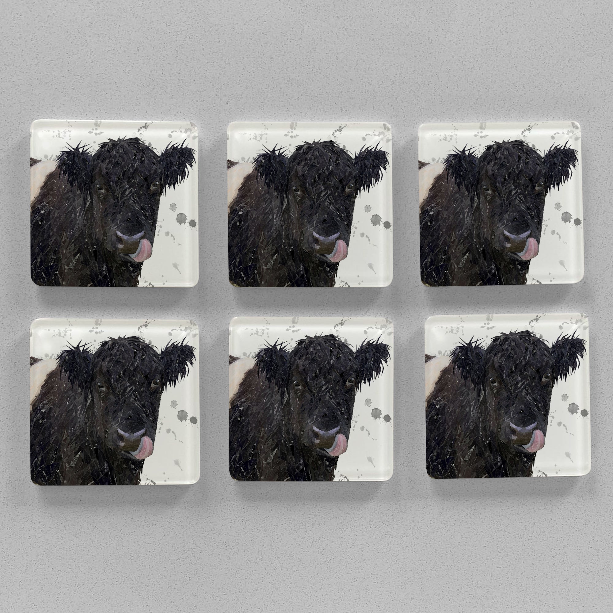 "Eugene" The Belted Galloway Cow (Grey Background) Premium Glass Coasters