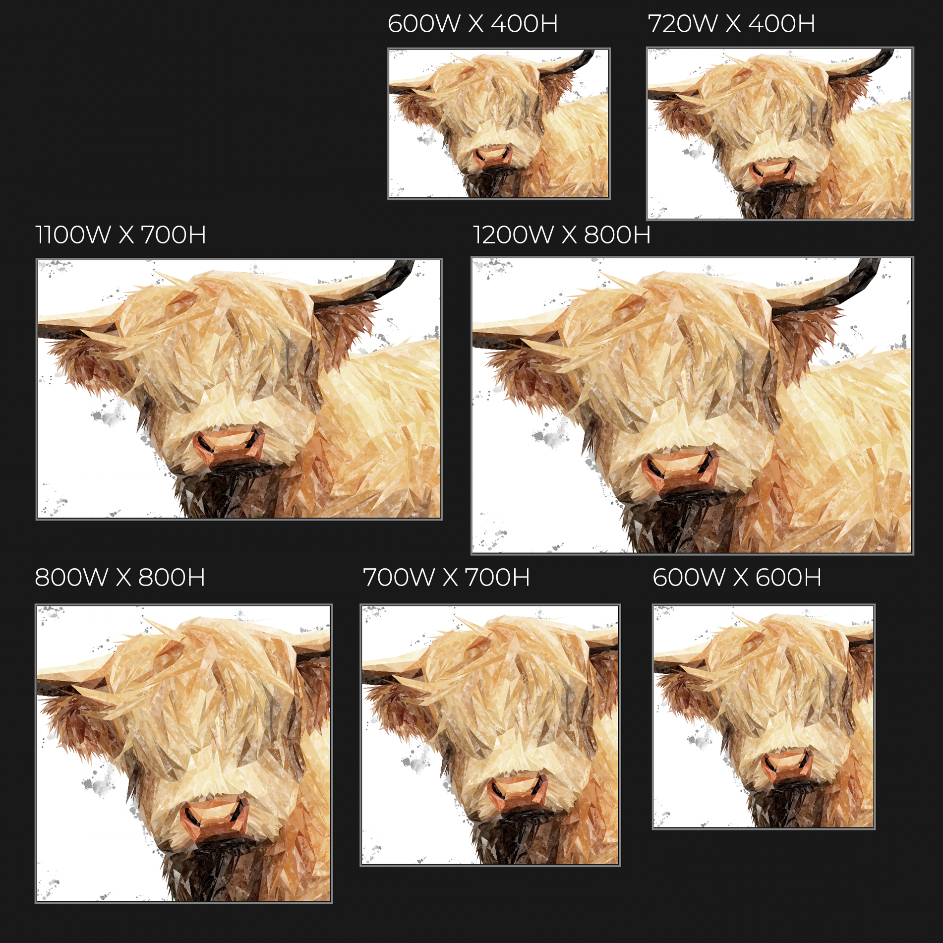 "Brenda" The Highland Cow (Grey Background) Glass Wall Art