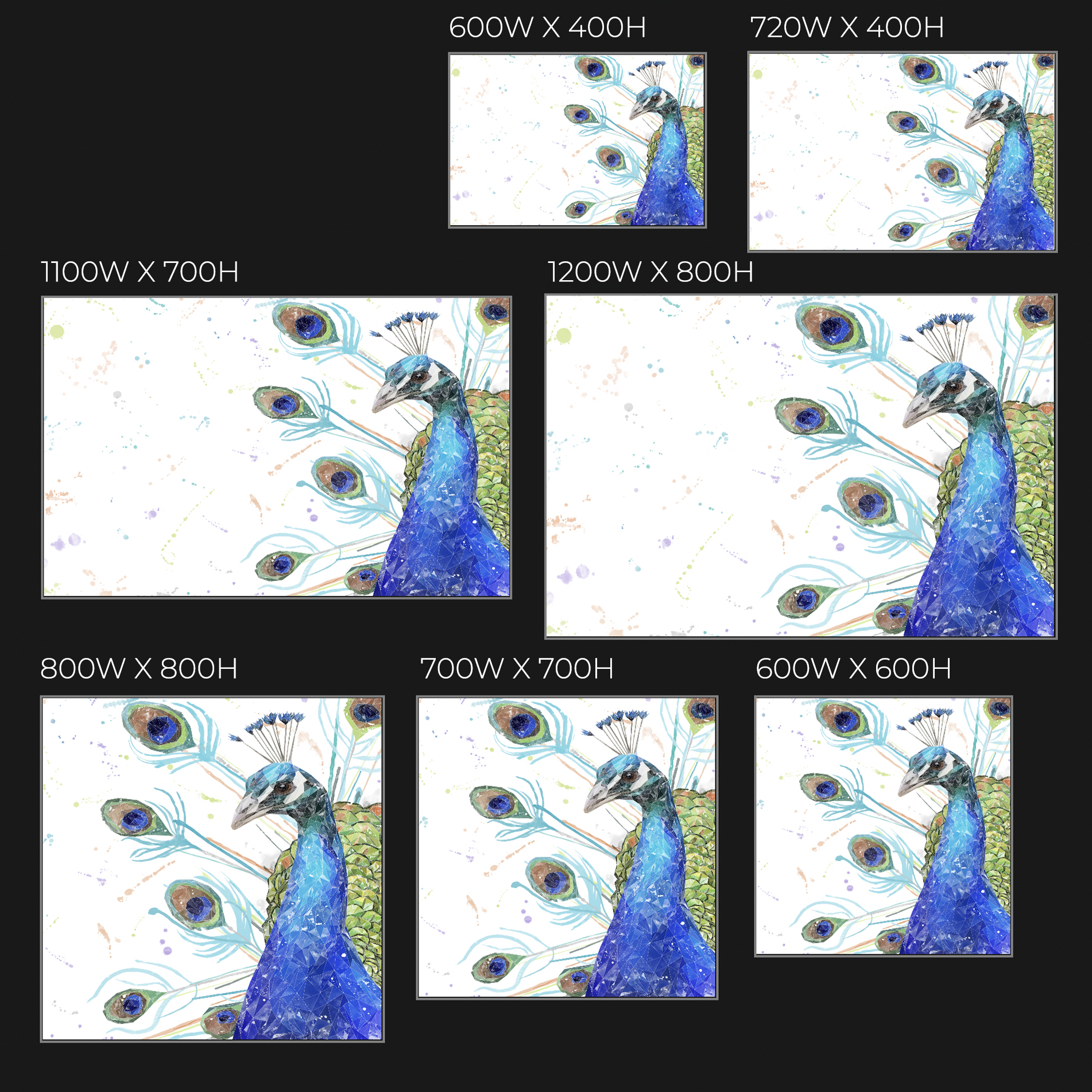 "Percy" The Peacock Glass Wall Art