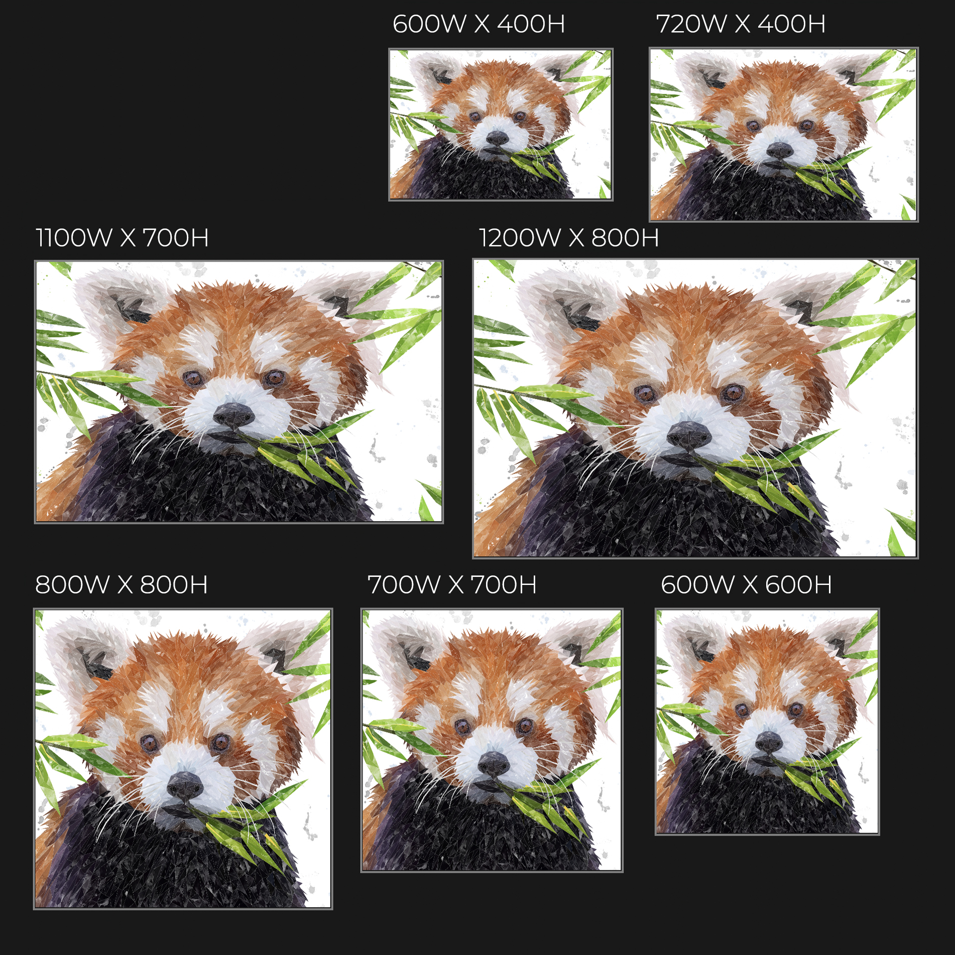 "Red" The Red Panda Glass Wall Art