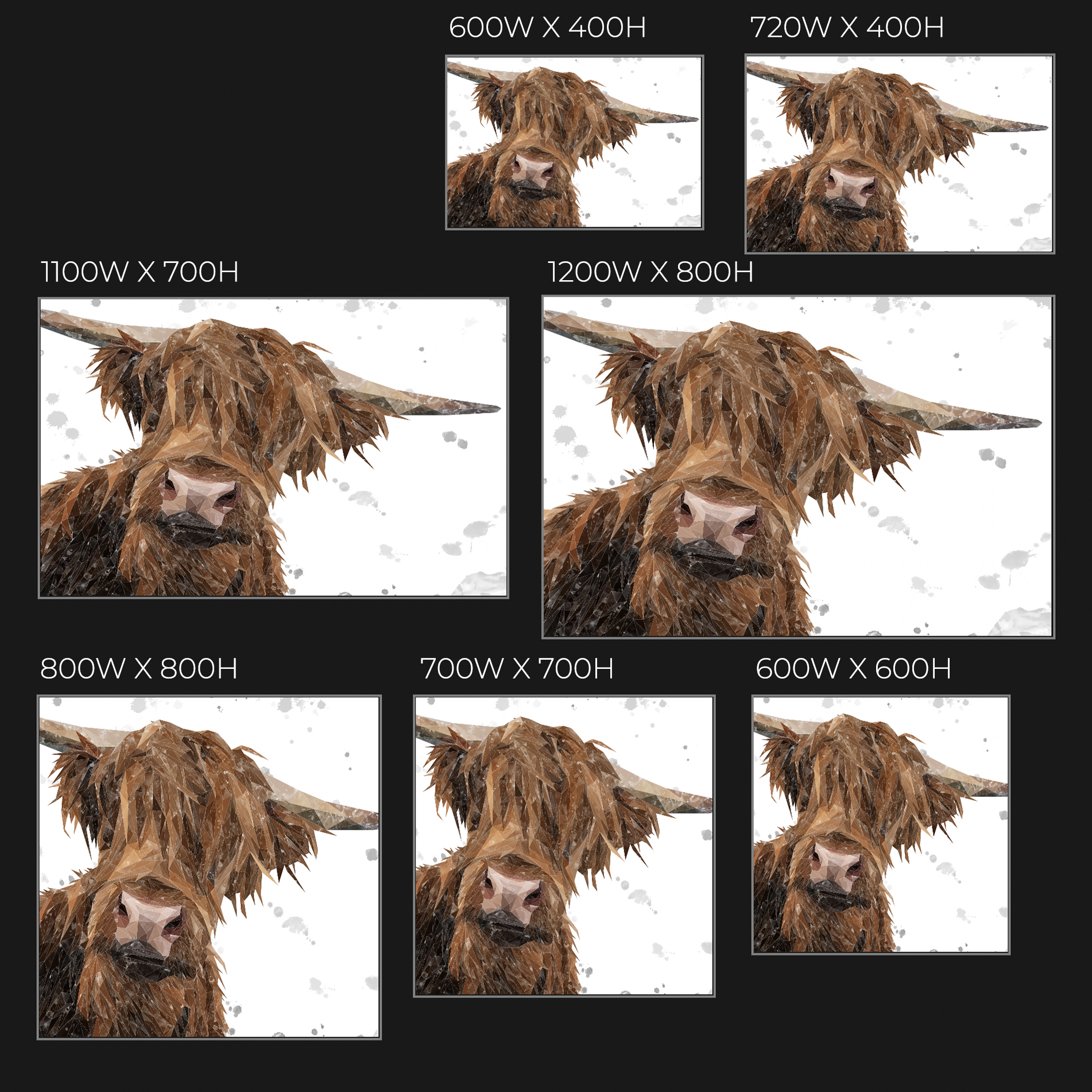 "Mac" The Highland Bull (Grey Background) Glass Wall Art