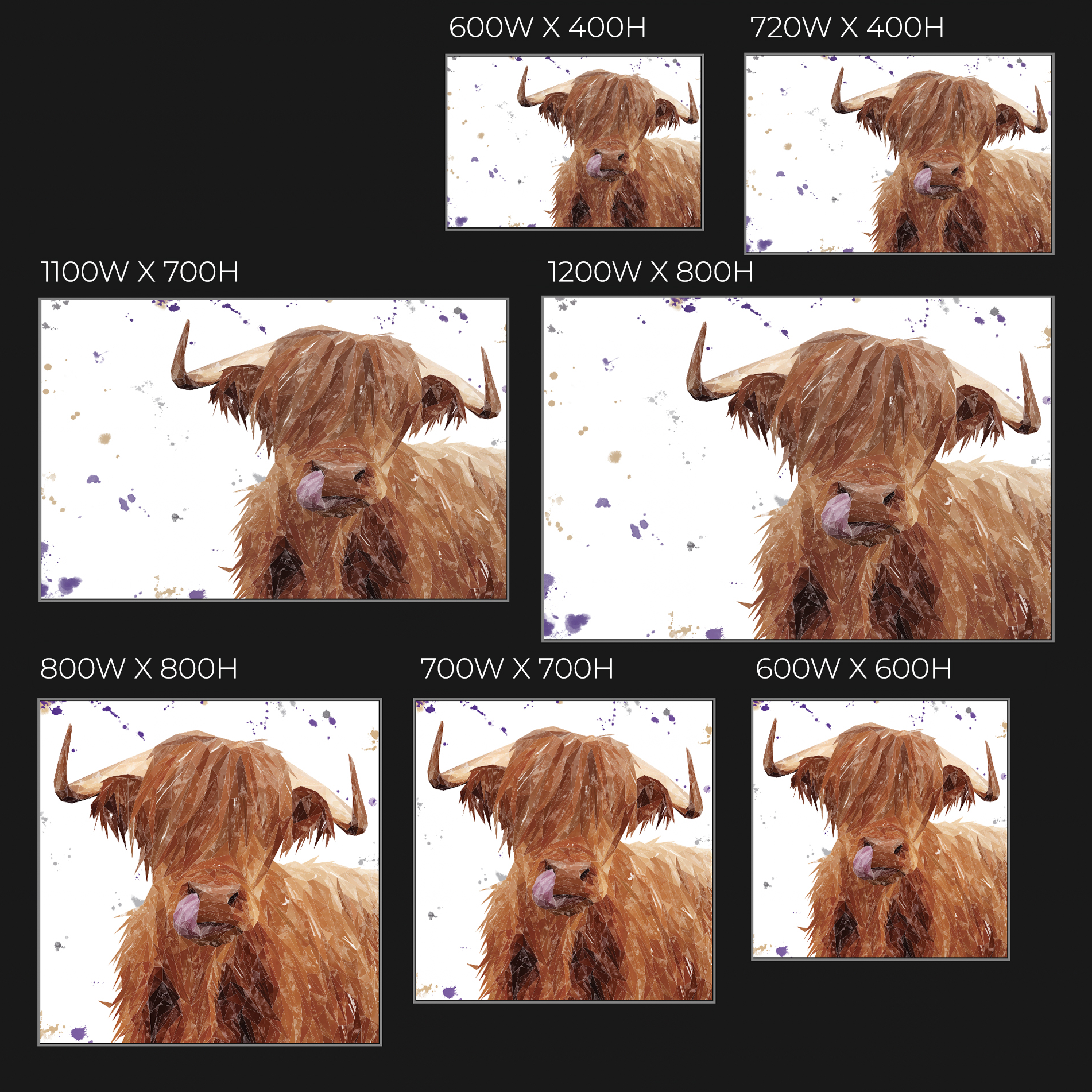 "Stephen Thomas" The Highland Bull (landscape version) Glass Wall Art