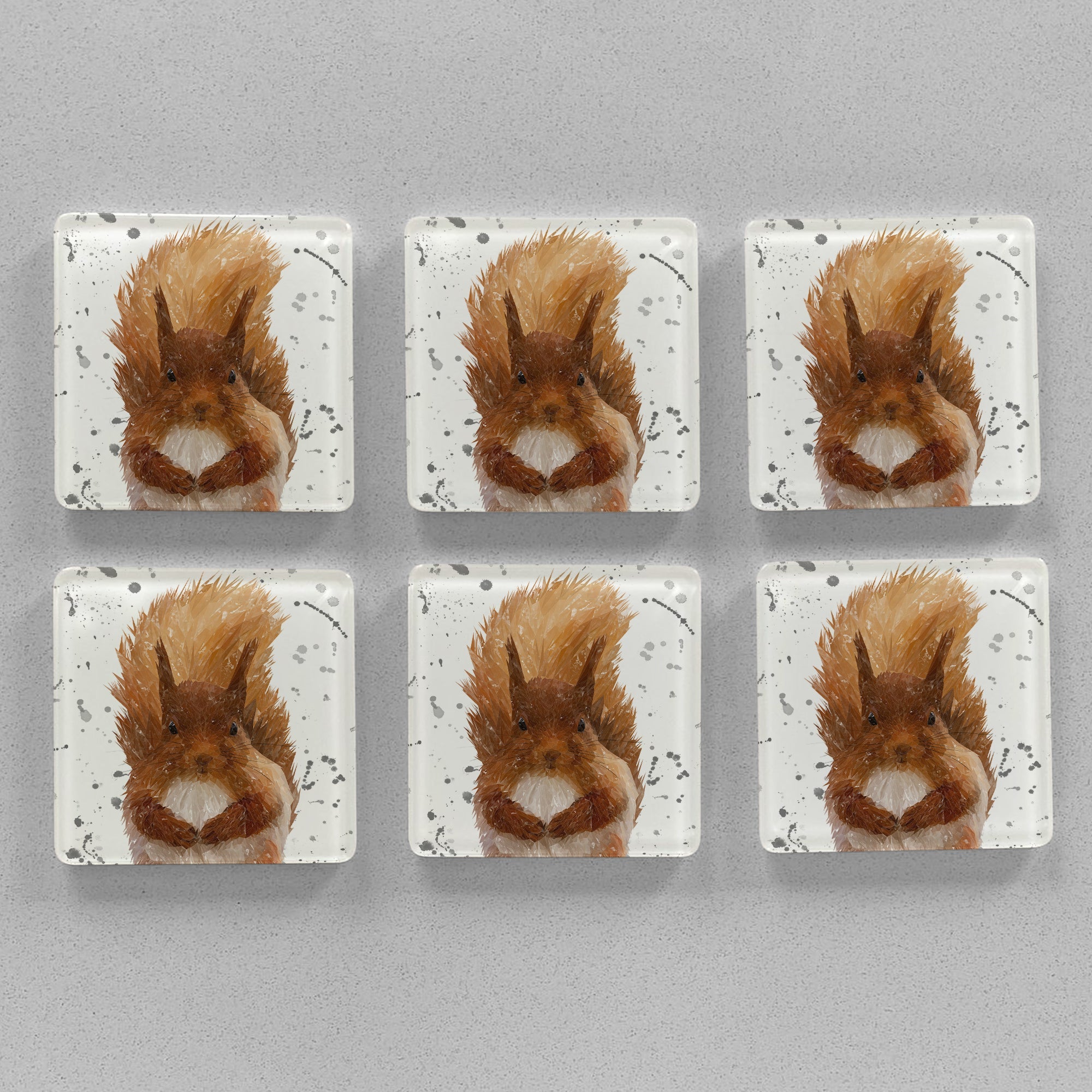 "Ellis" The Red Squirrel (Grey Background) Premium Glass Coasters