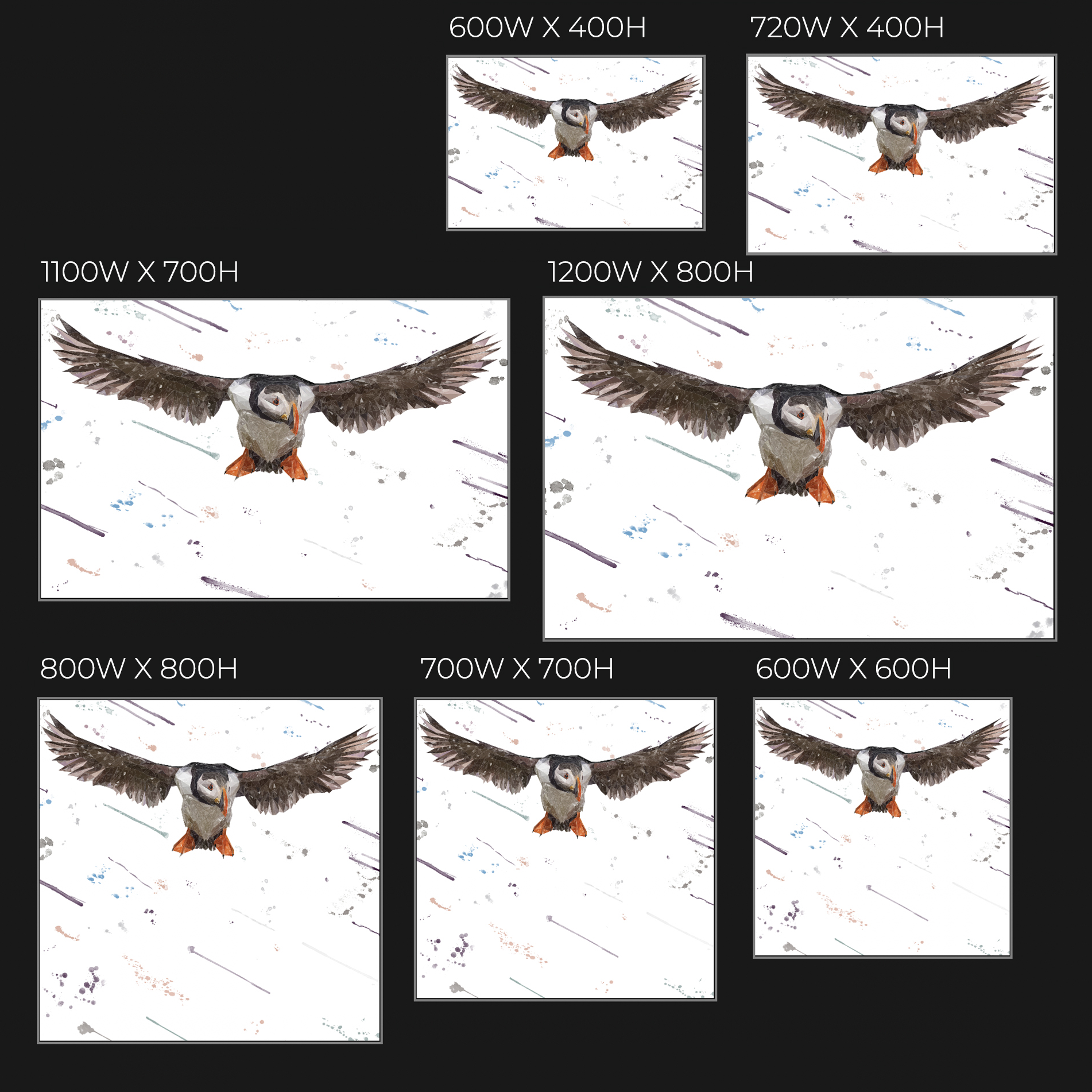 "Frank" The Puffin Glass Wall Art