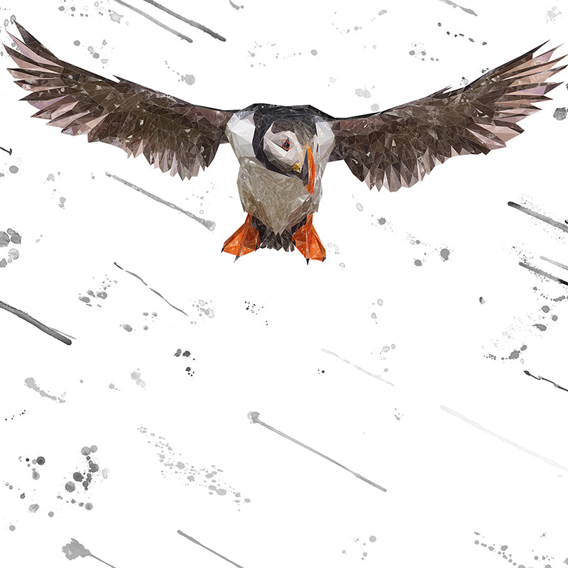 "Frank" The Puffin (Grey Background) Premium Glass Coasters
