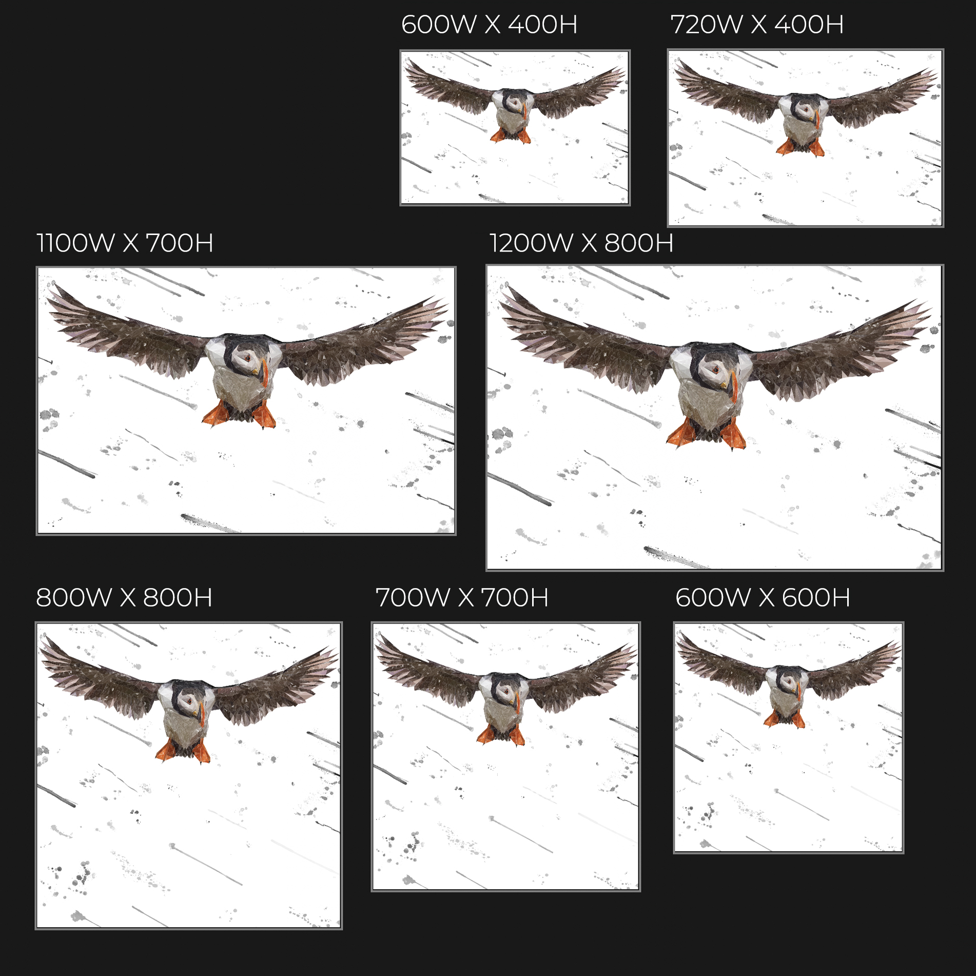 "Frank" The Puffin (Grey Background) Glass Wall Art
