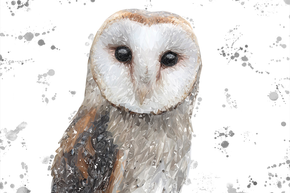 "Whisper" The Barn Owl (Grey Background) Glass Wall Art