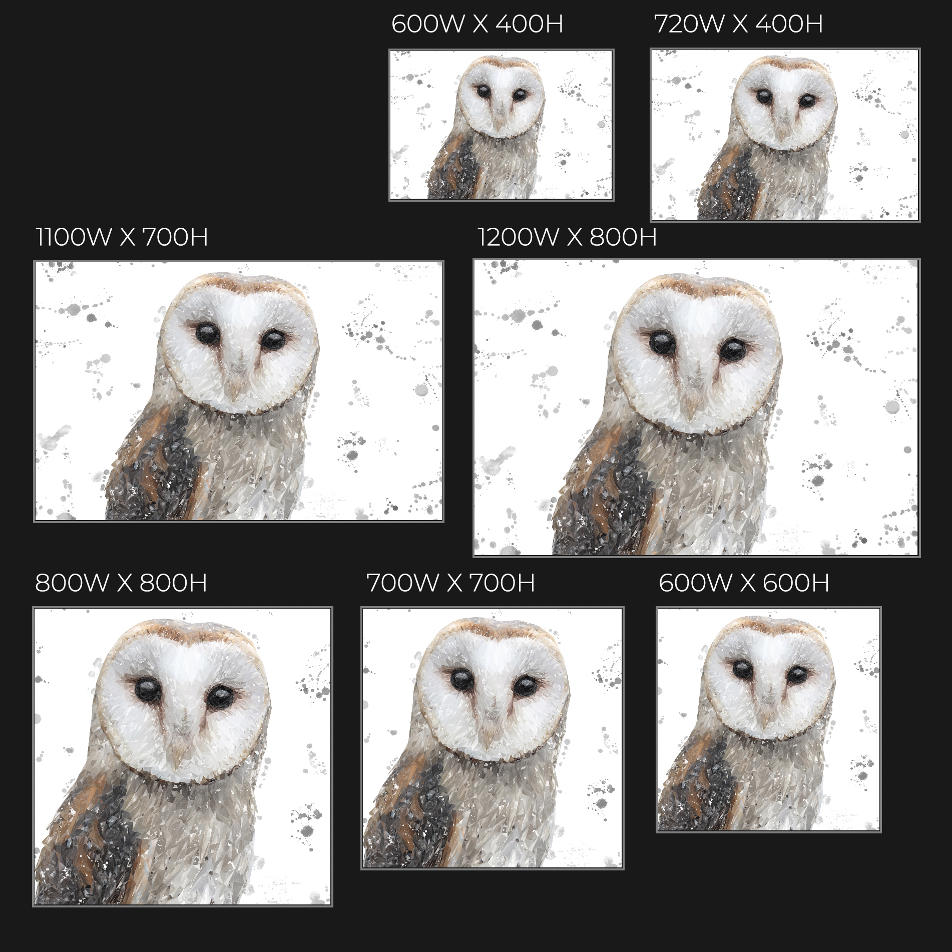 "Whisper" The Barn Owl (Grey Background) Glass Wall Art
