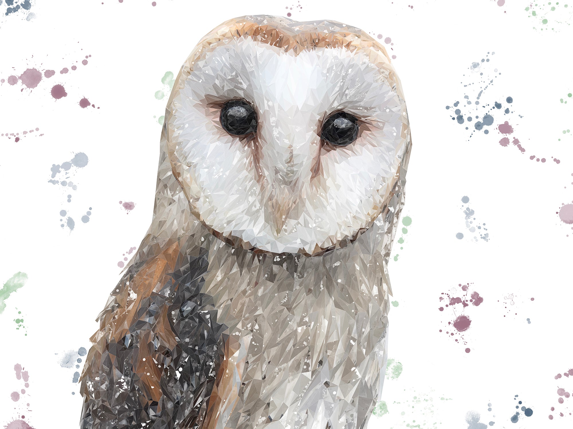 "Whisper" The Barn Owl Canvas Print