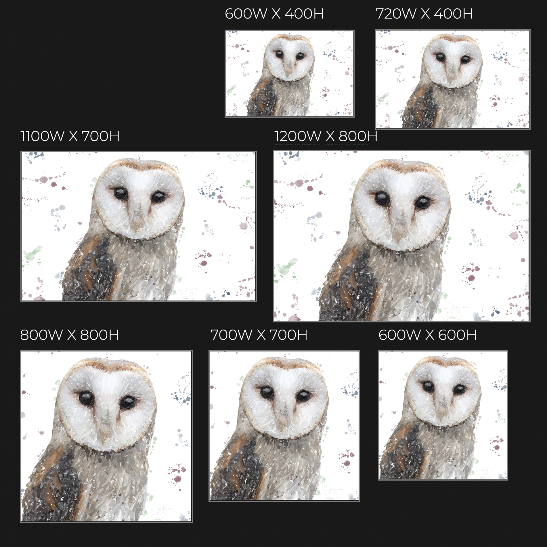 "Whisper" The Barn Owl Glass Wall Art