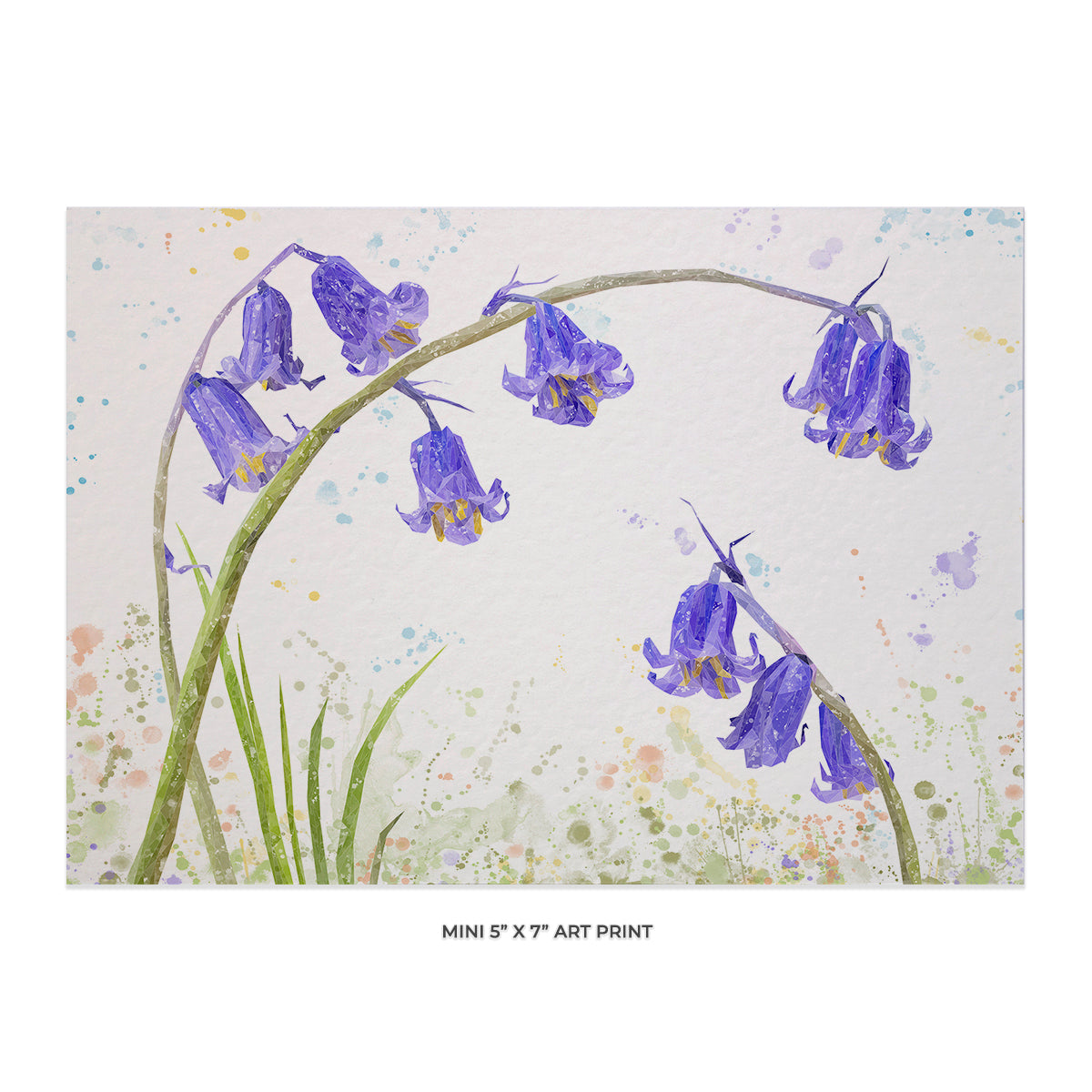"Bluebells" 5x7 Mini Print
