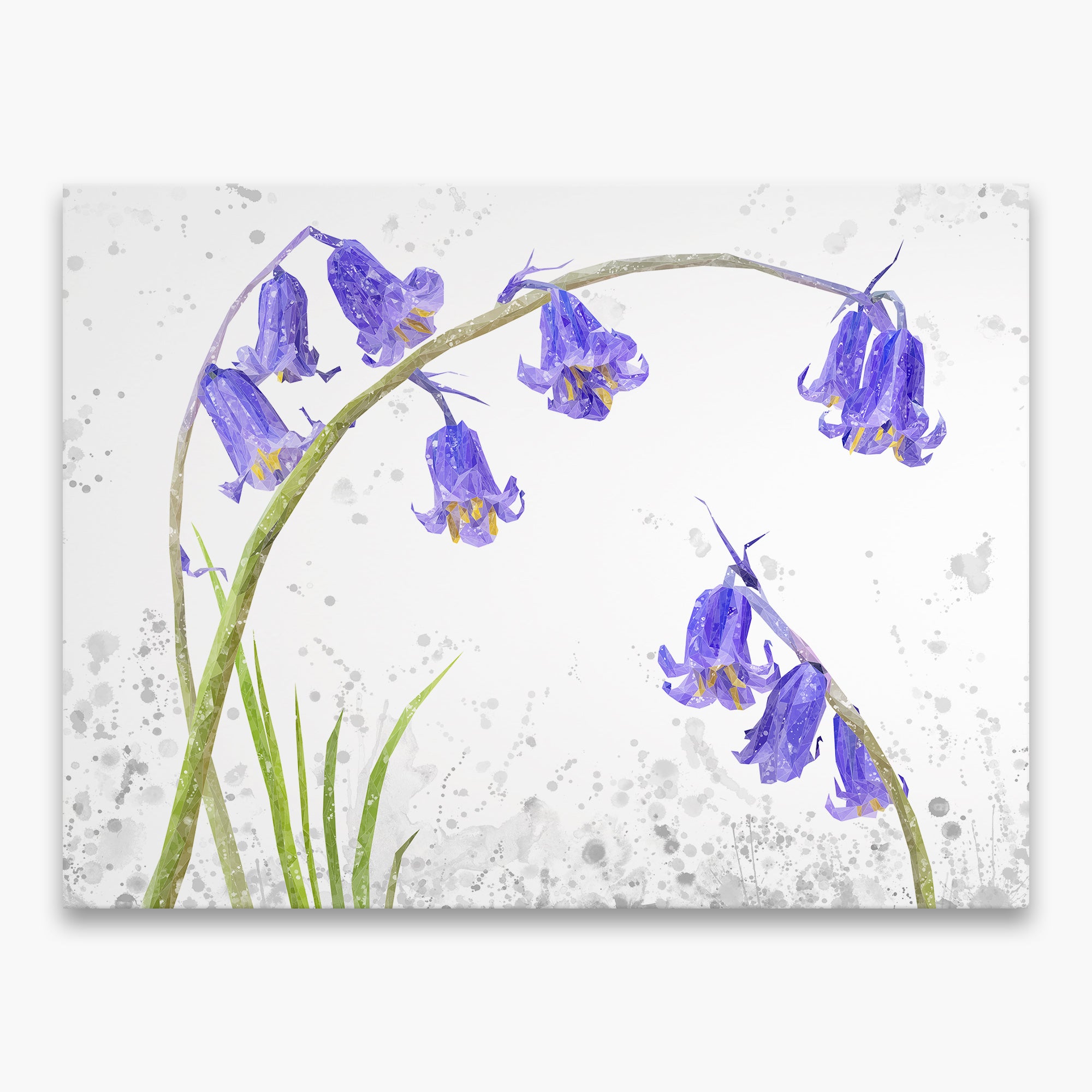 "Bluebells" Grey Background The Bluebells Canvas Print