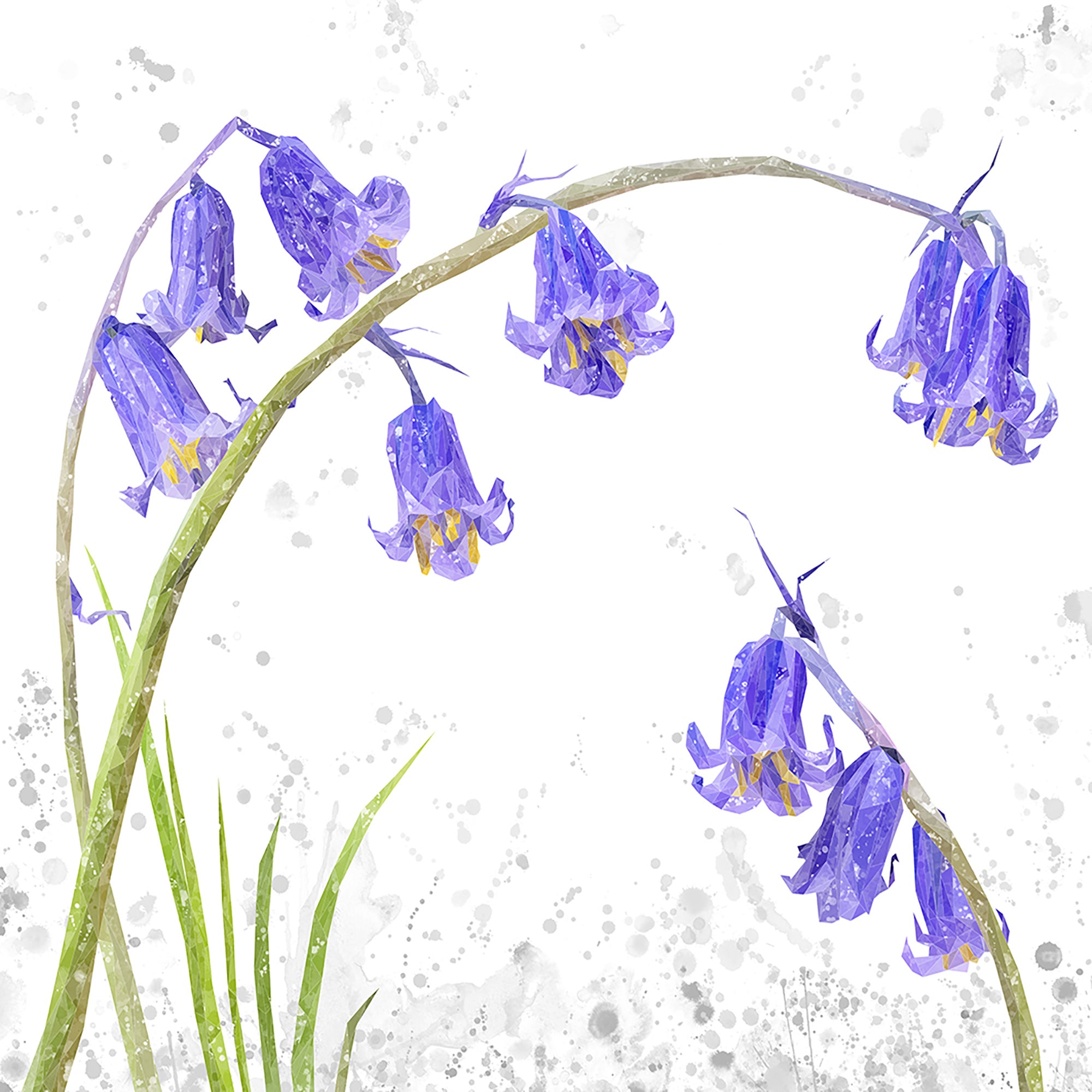 "Bluebells" Grey Background Premium Glass Coasters