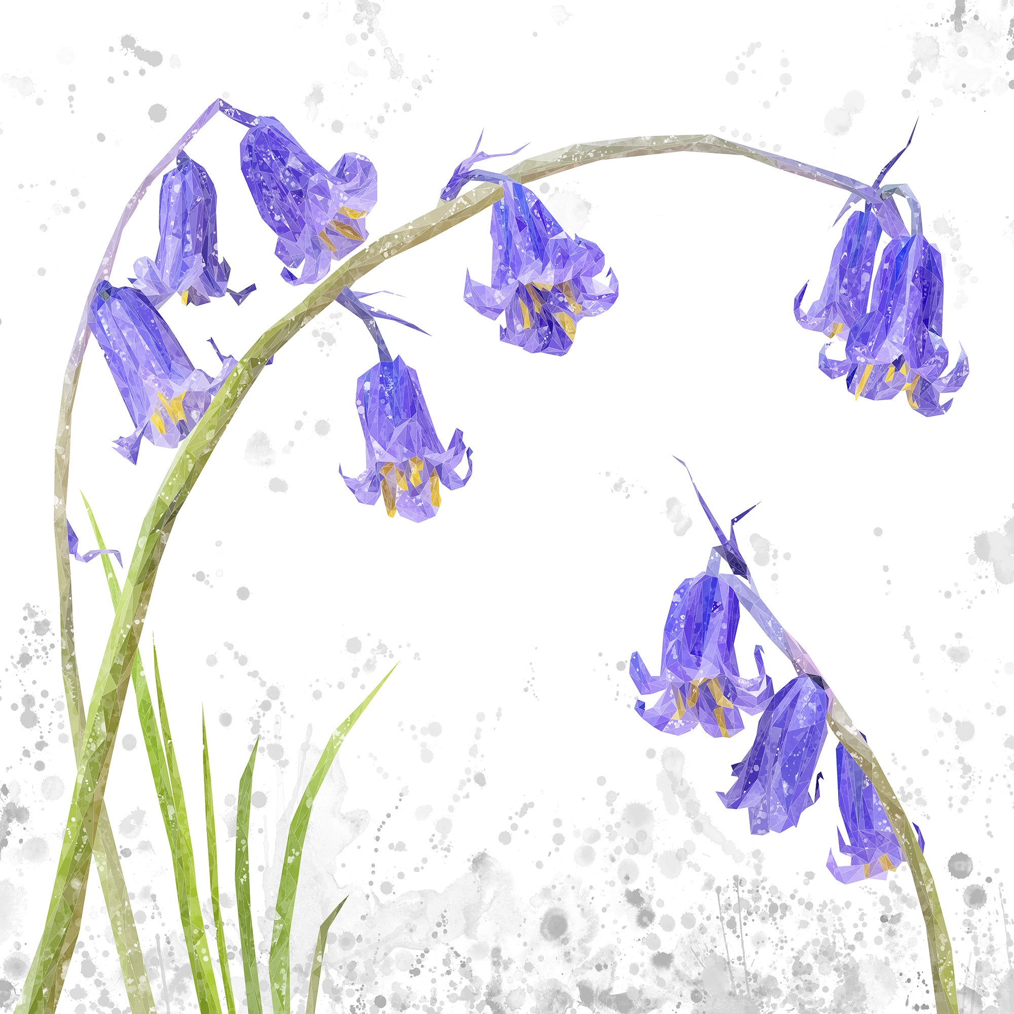 NEW! "Bluebells" Grey Background Kitchen Splashback