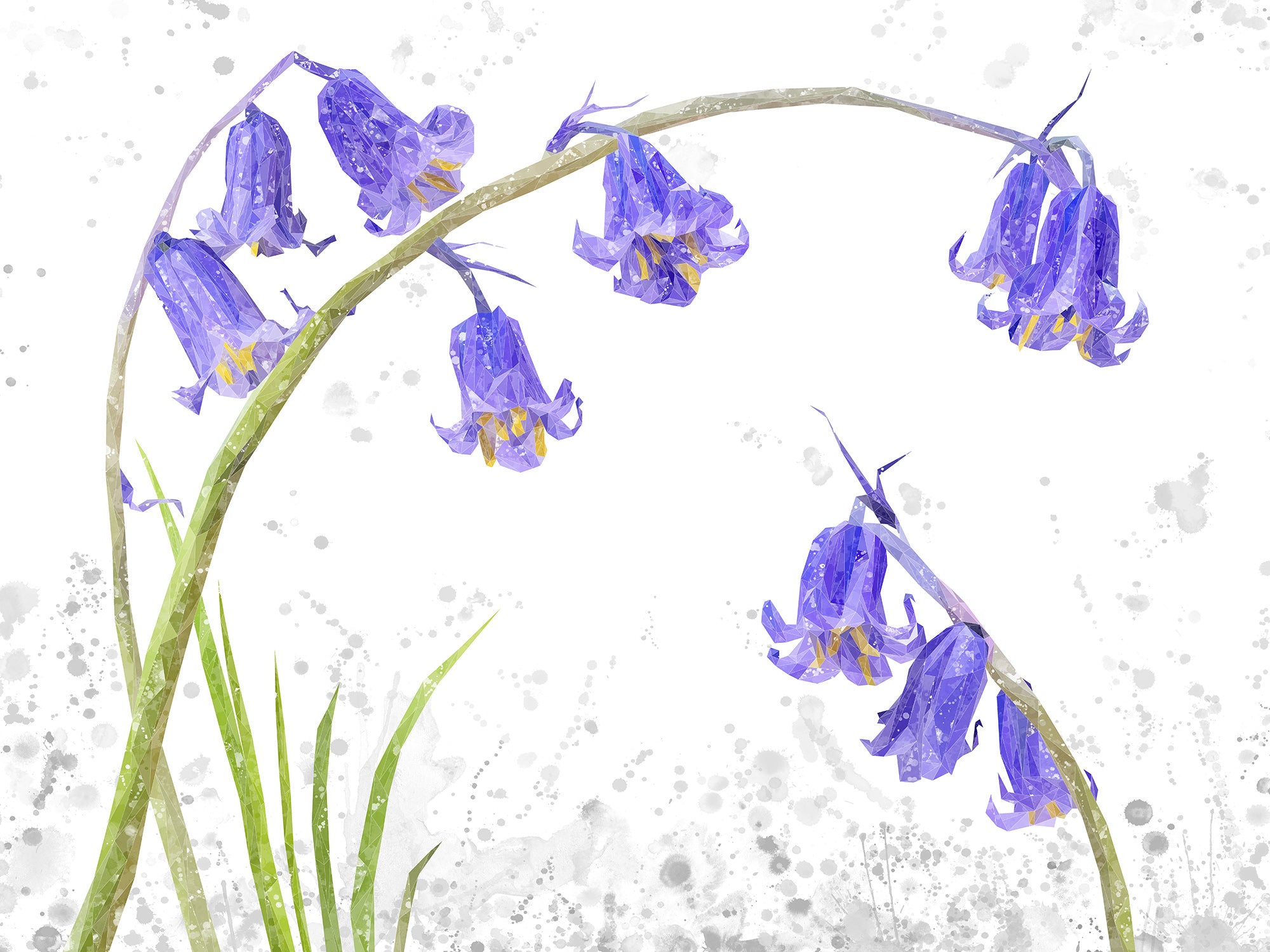 NEW! "Bluebells" Grey Background Kitchen Splashback