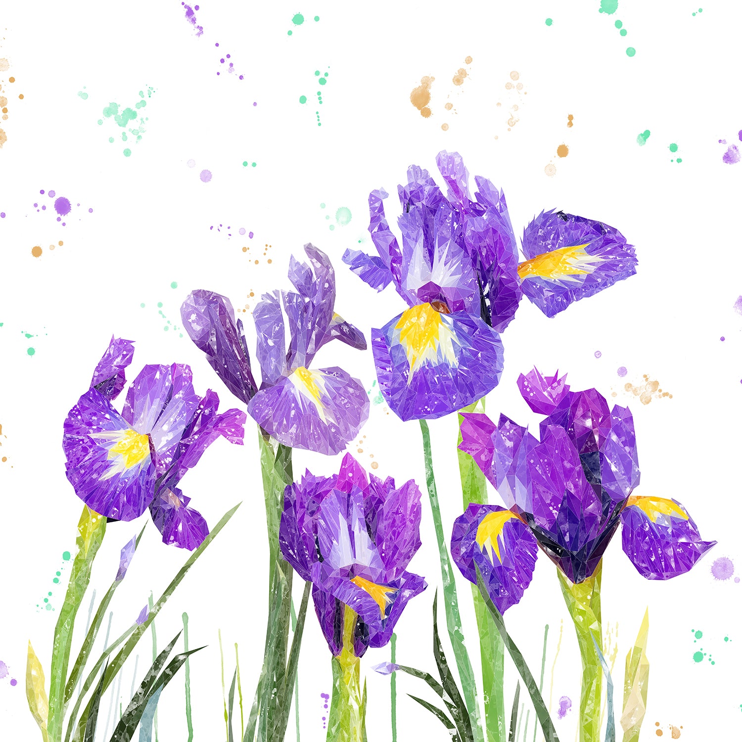 NEW! "Purple Haze" Iris Kitchen Splashback