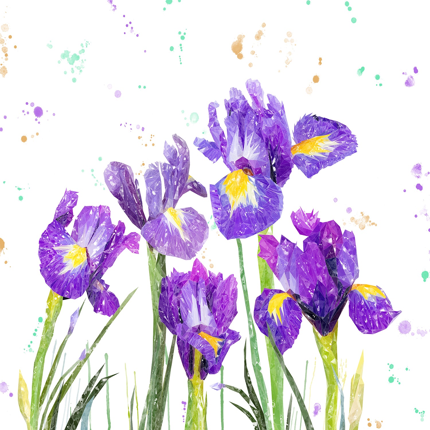 NEW! "Purple Haze" Iris Kitchen Splashback