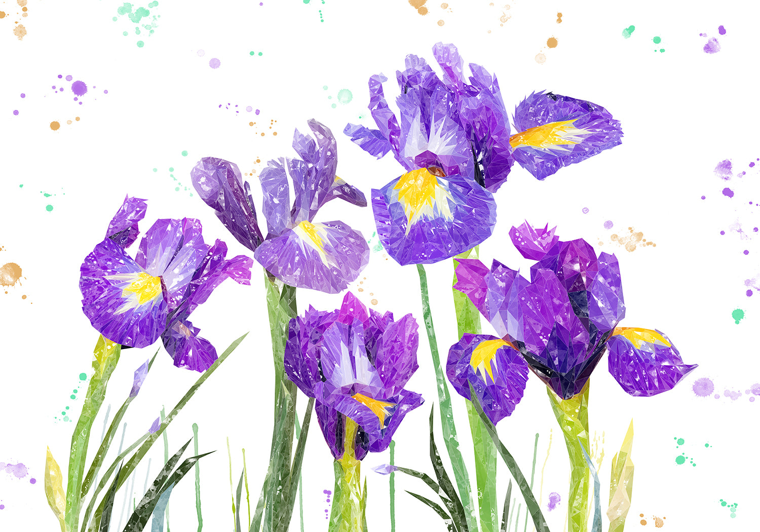 NEW! "Purple Haze" Iris Kitchen Splashback