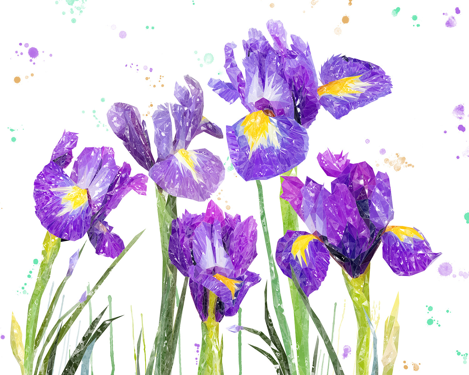 NEW! "Purple Haze" Iris Kitchen Splashback