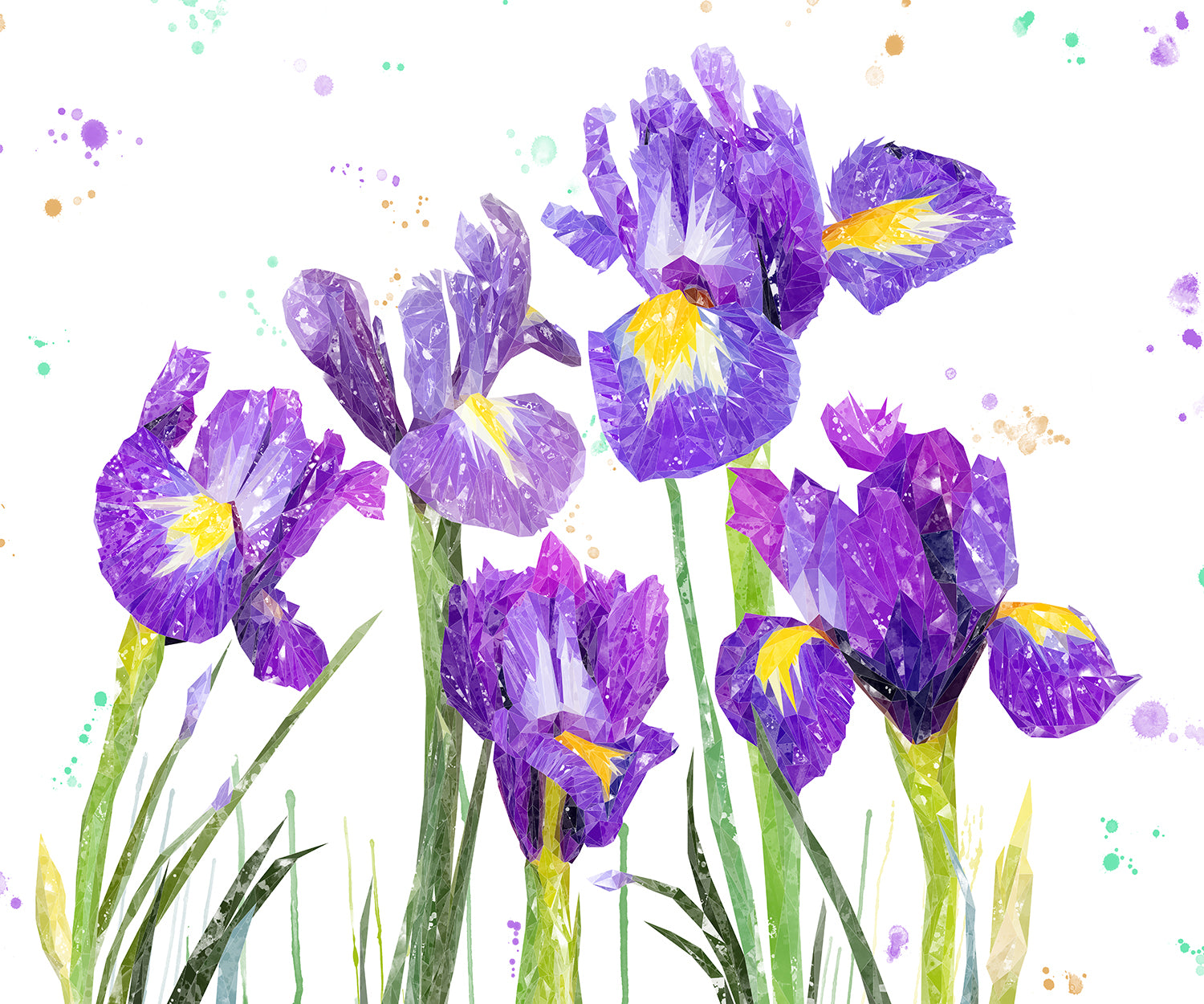 NEW! "Purple Haze" Iris Kitchen Splashback